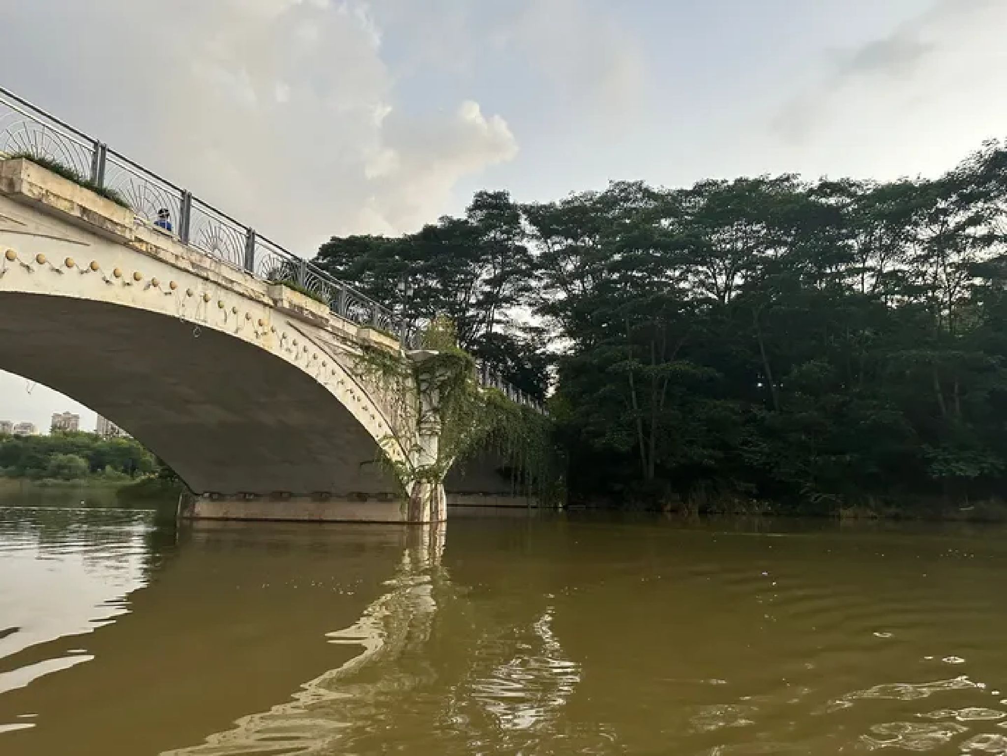 五象湖公园旅行图片 1