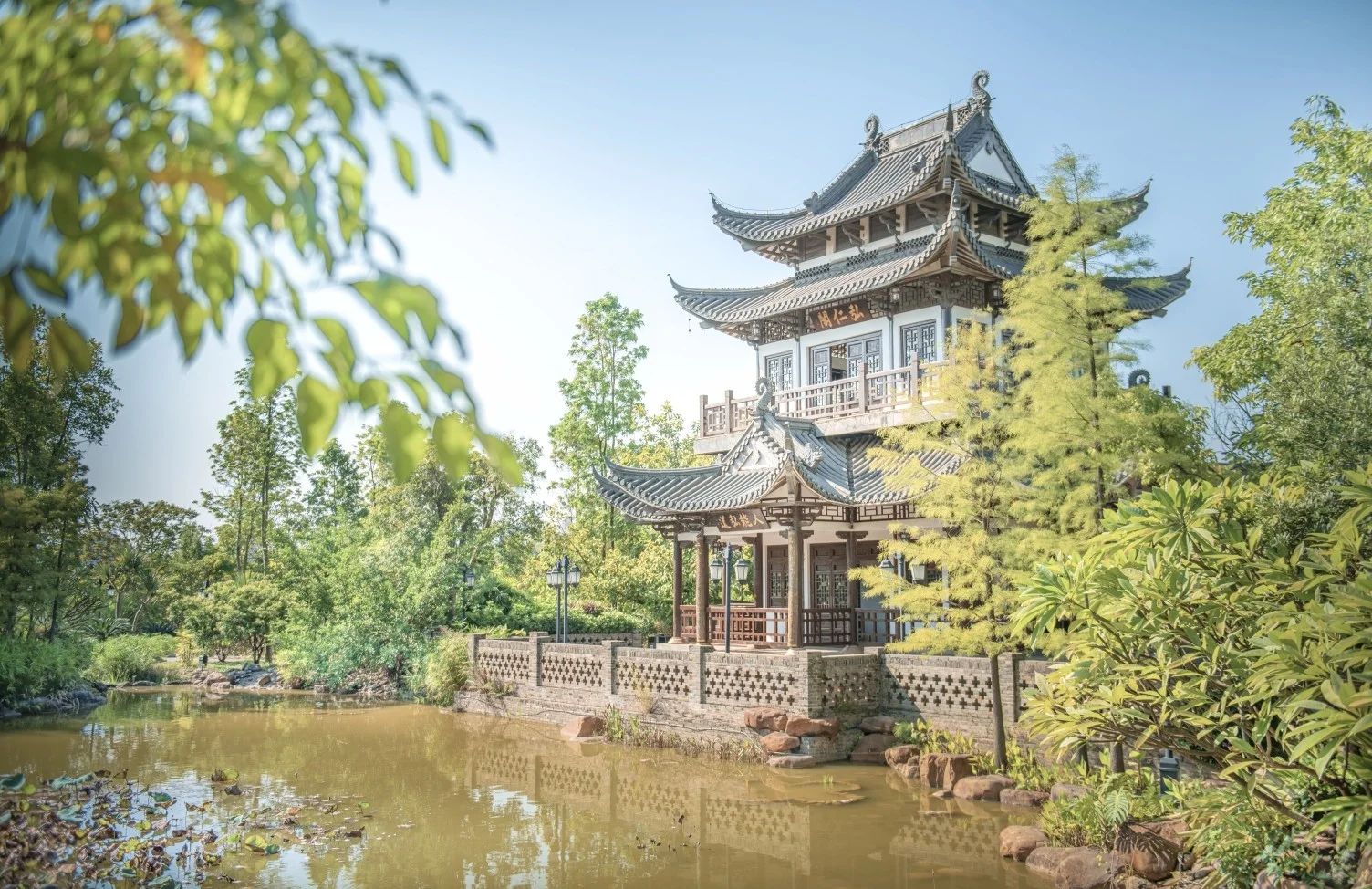 五象湖公园现场照片 3