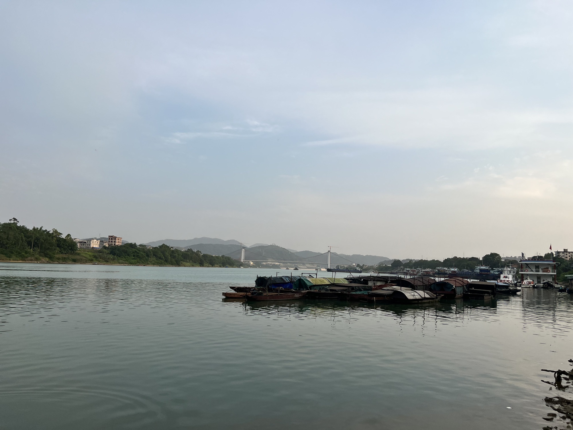 横州市海棠公园旅行图片 3