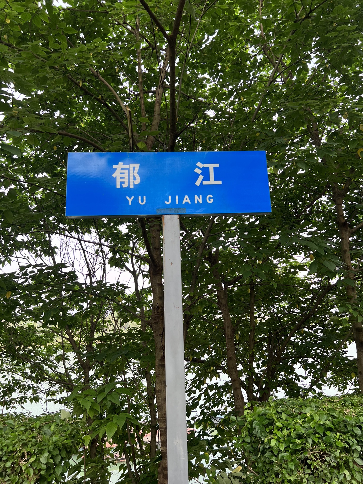 横州市海棠公园旅行图片 2