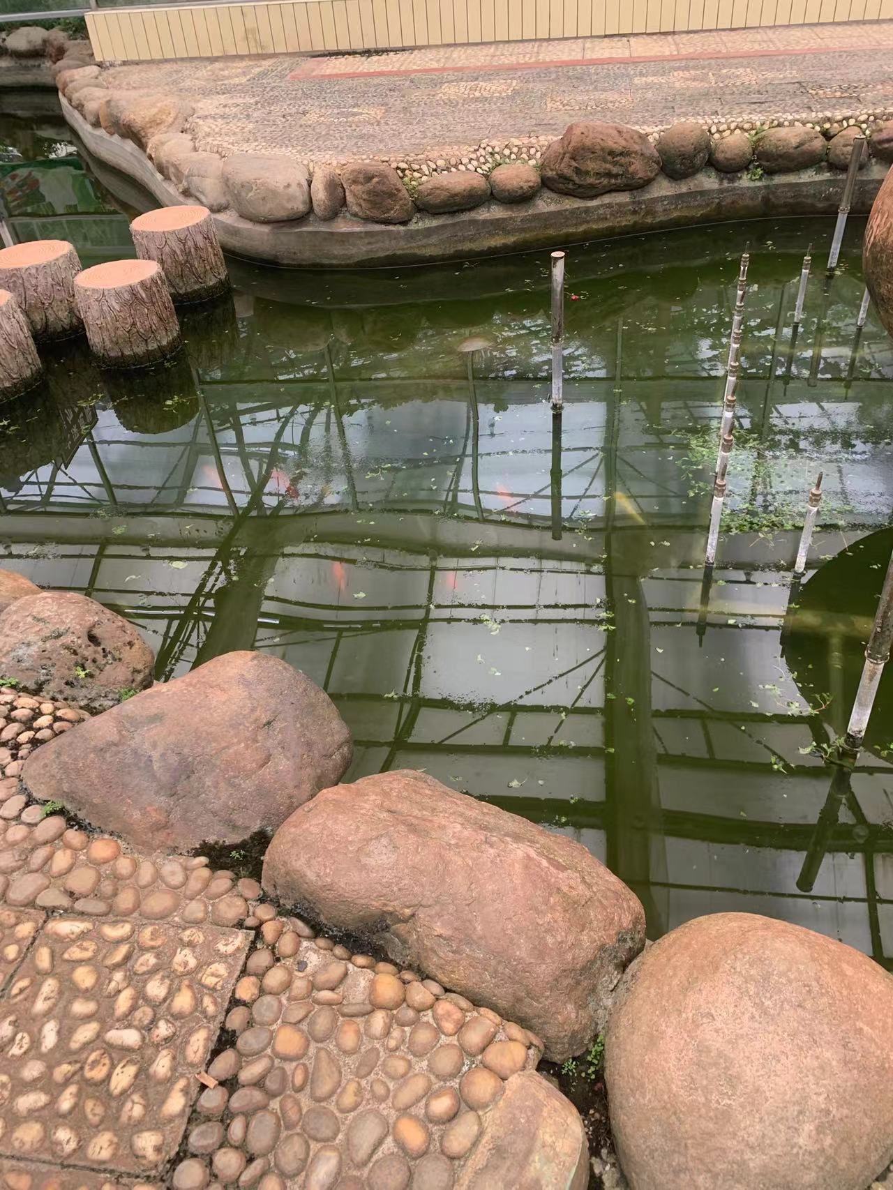 八桂田园旅行图片 1