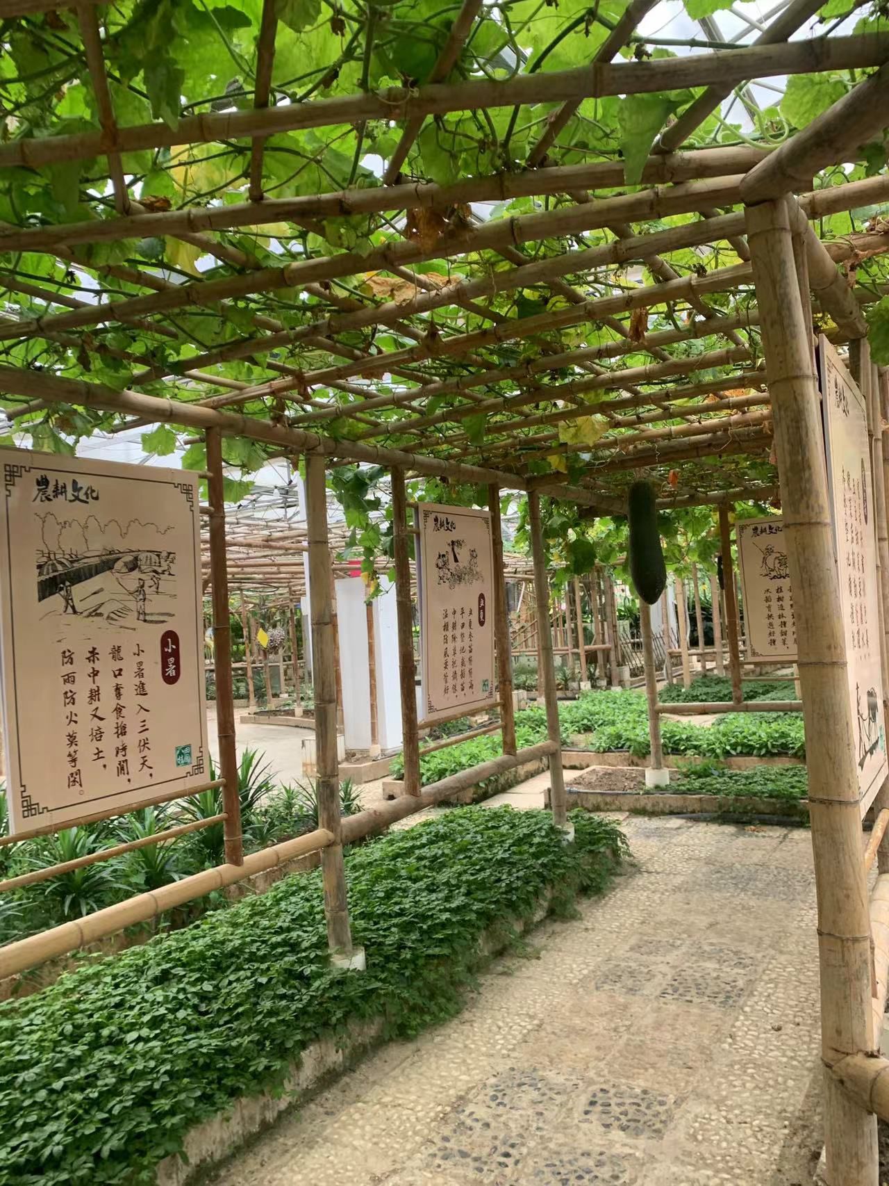 八桂田园旅行图片 3