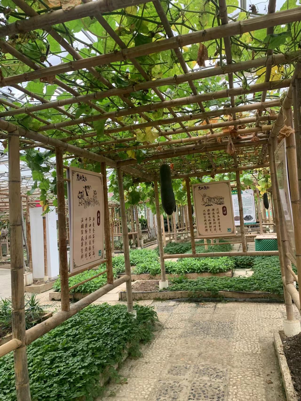 八桂田园旅行图片 2