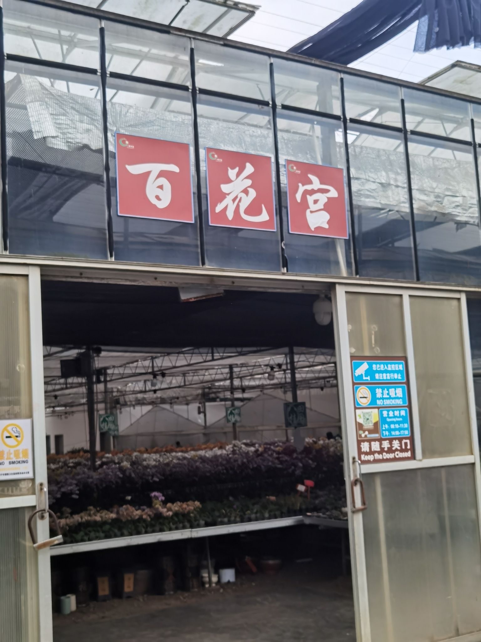 八桂田园旅行图片 1