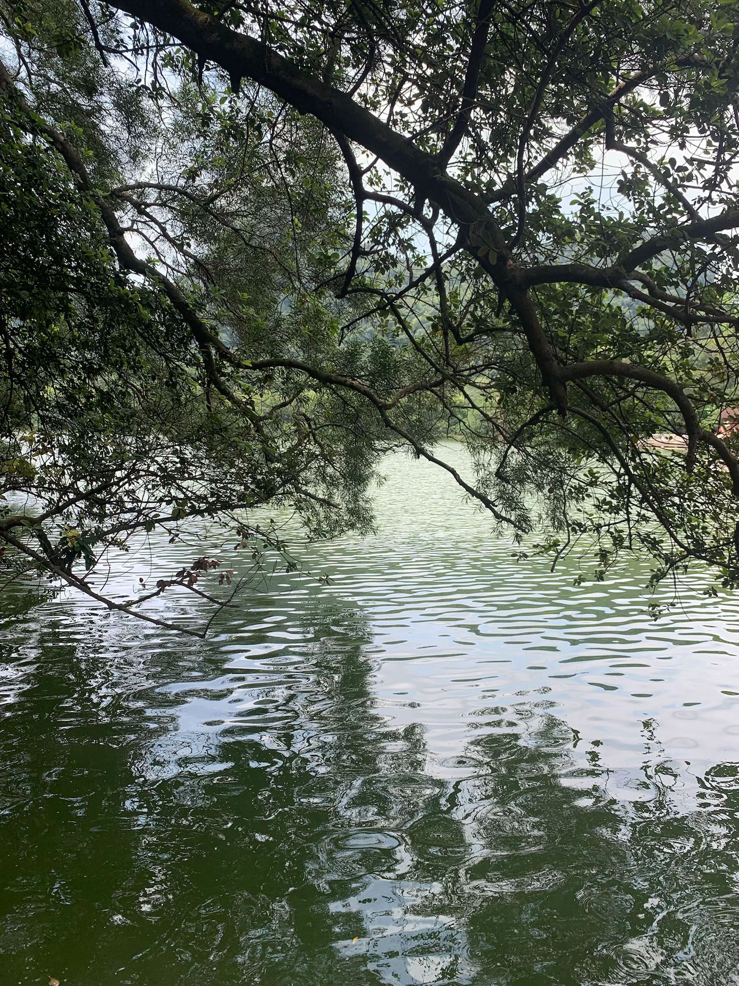 龙潭公园旅行图片 2