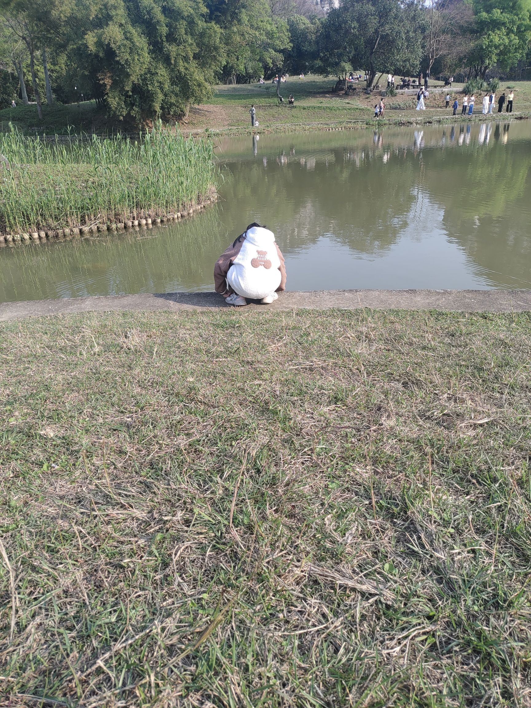 龙潭公园旅行图片 1