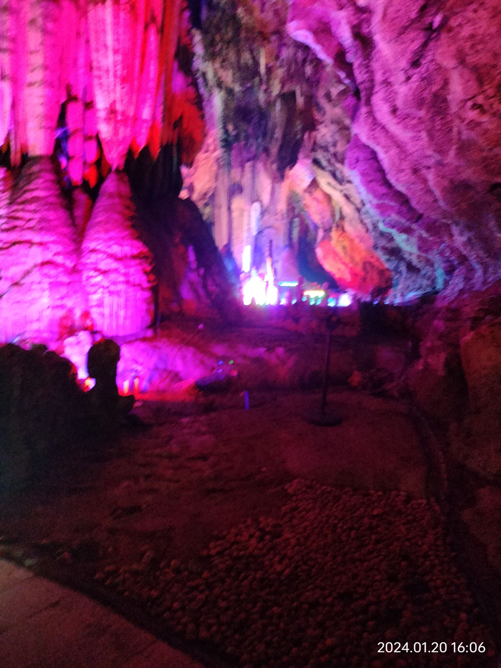 都乐公园旅行图片 3