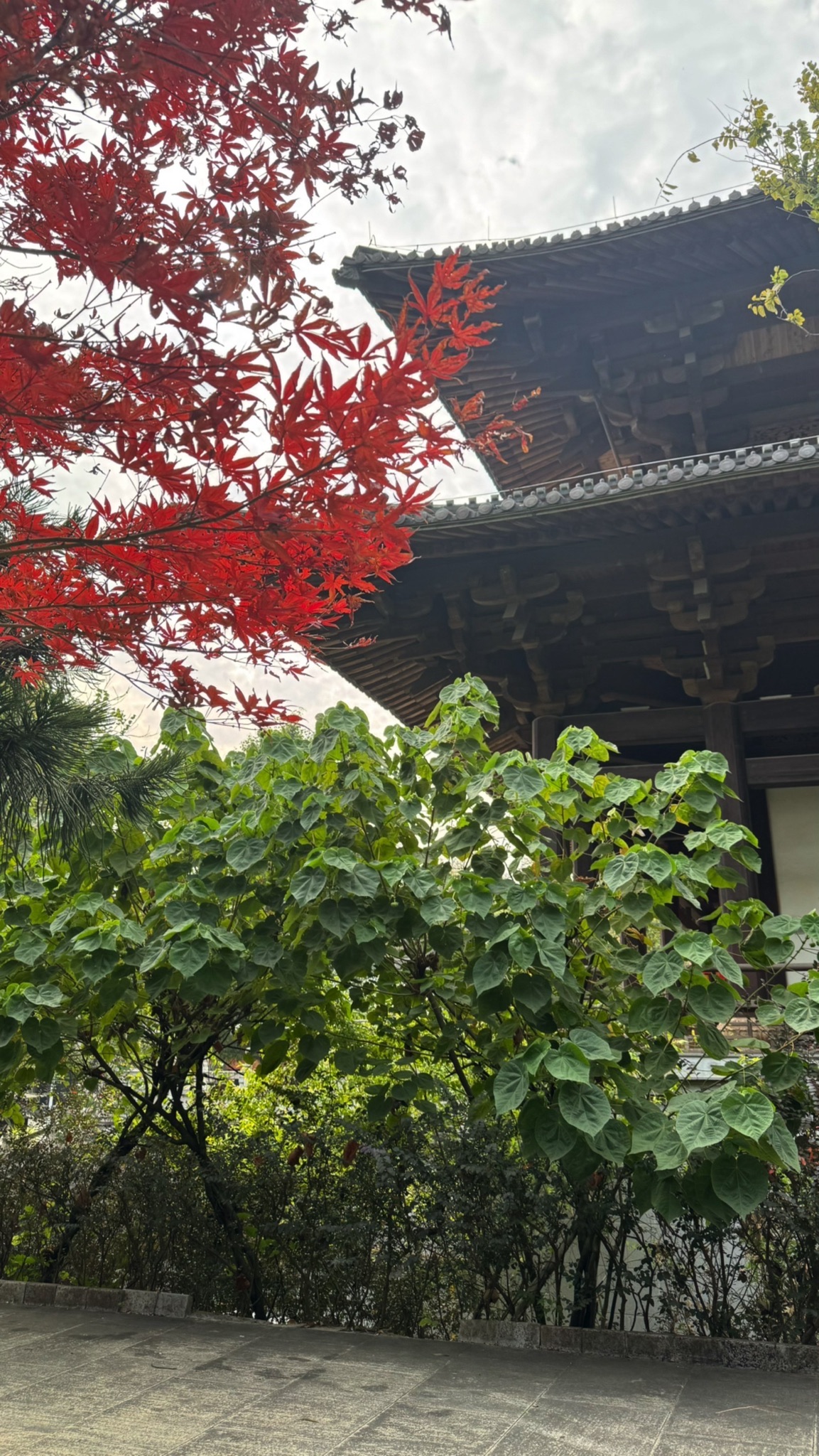 都乐公园旅行图片 3