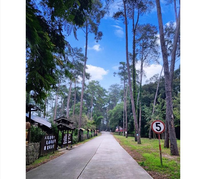 君武森林公园旅行图片 2