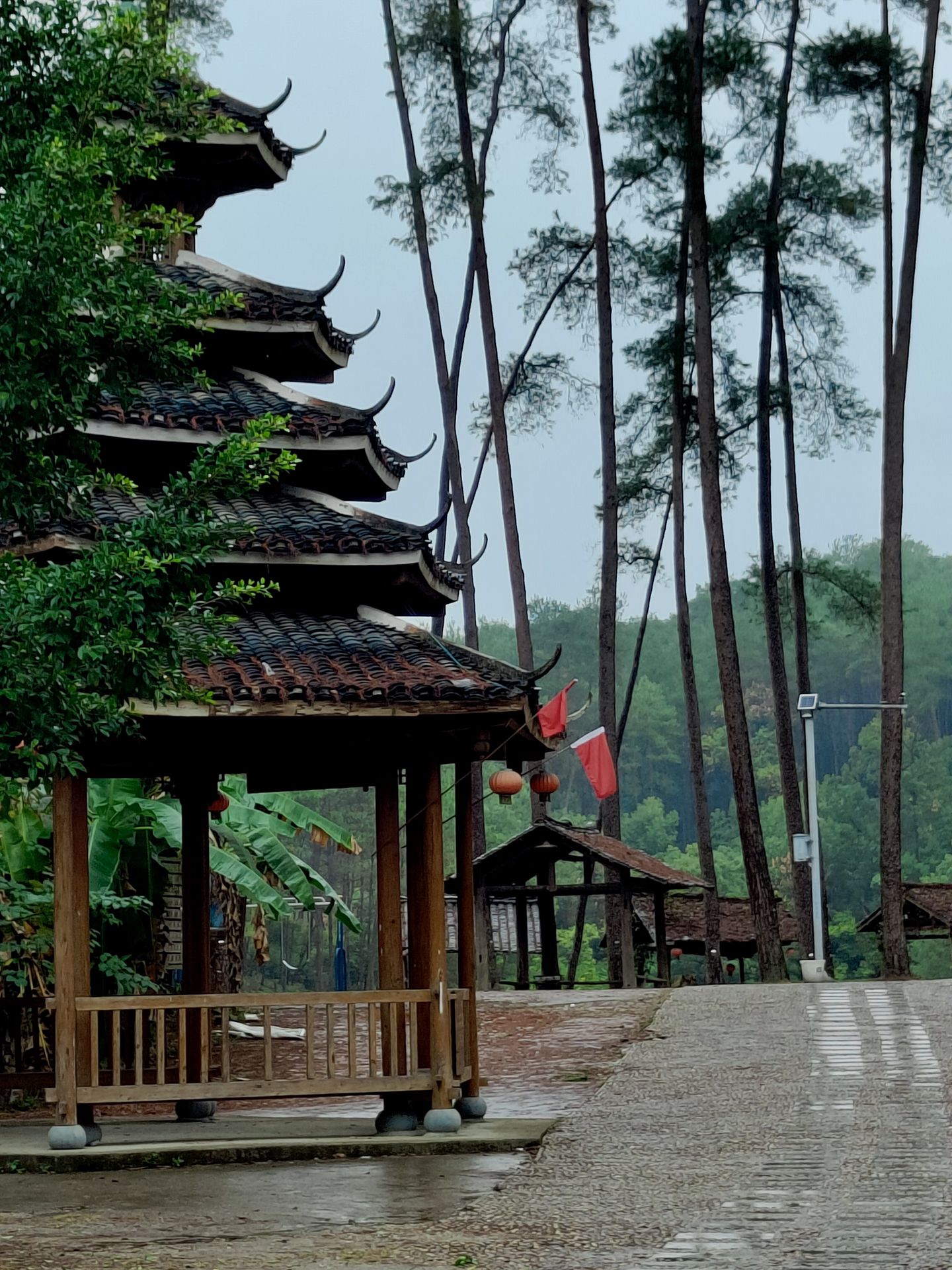 君武森林公园旅行图片 2