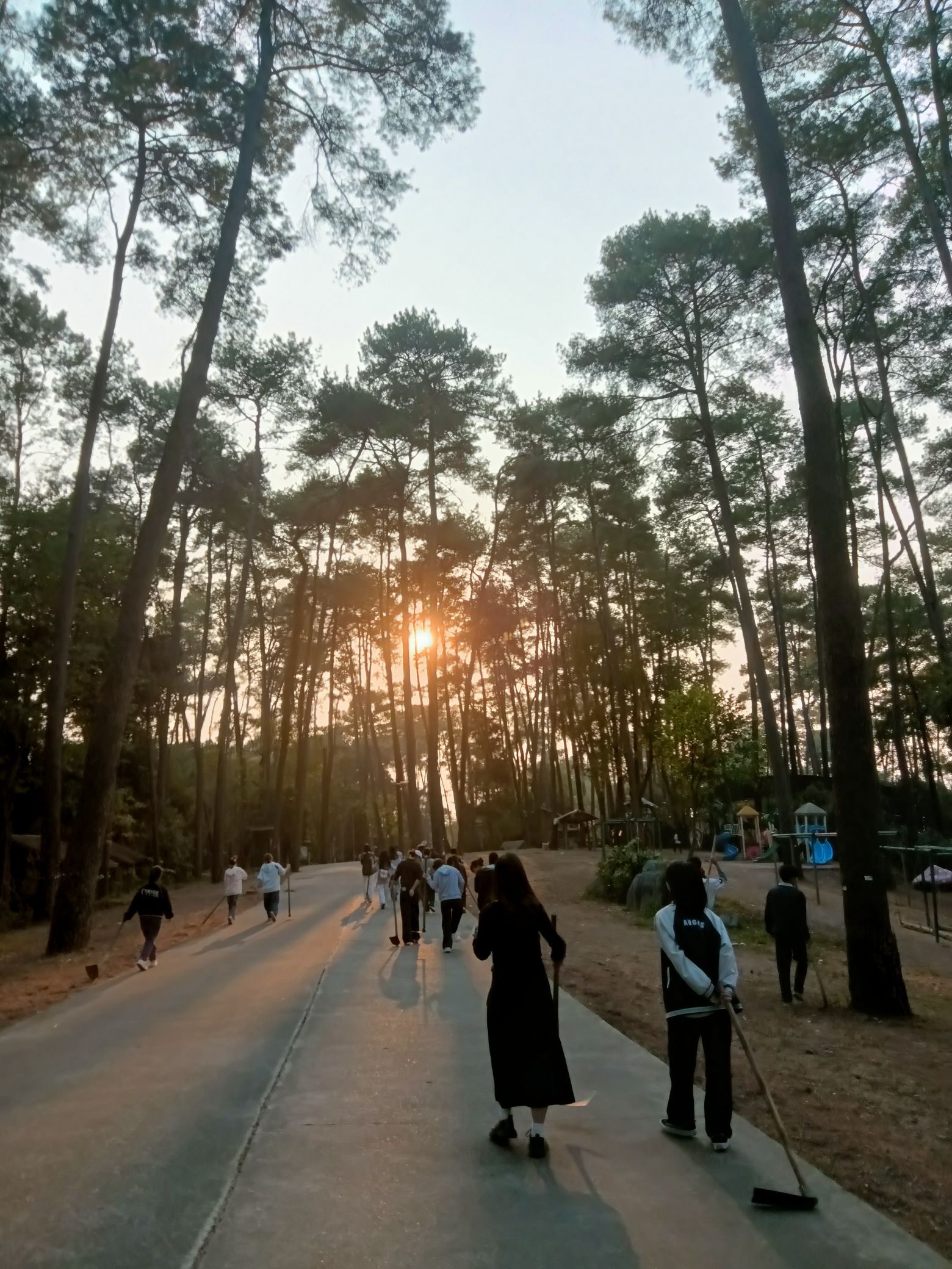 君武森林公园旅行图片 3