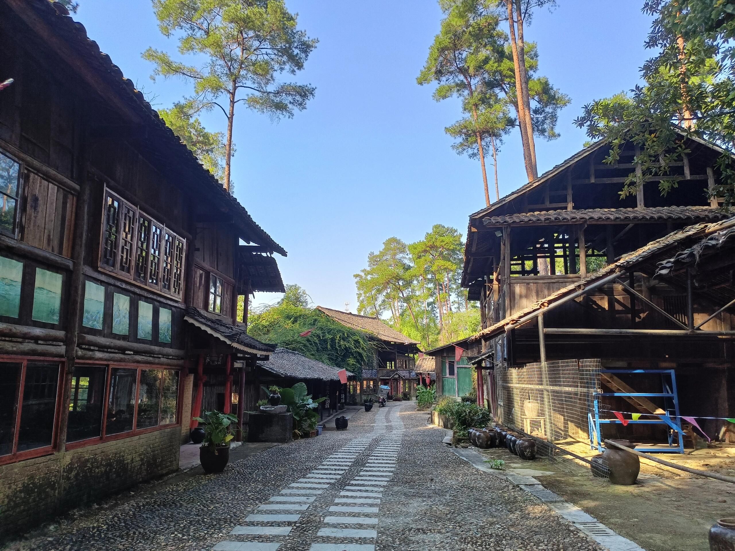 君武森林公园旅行图片 2