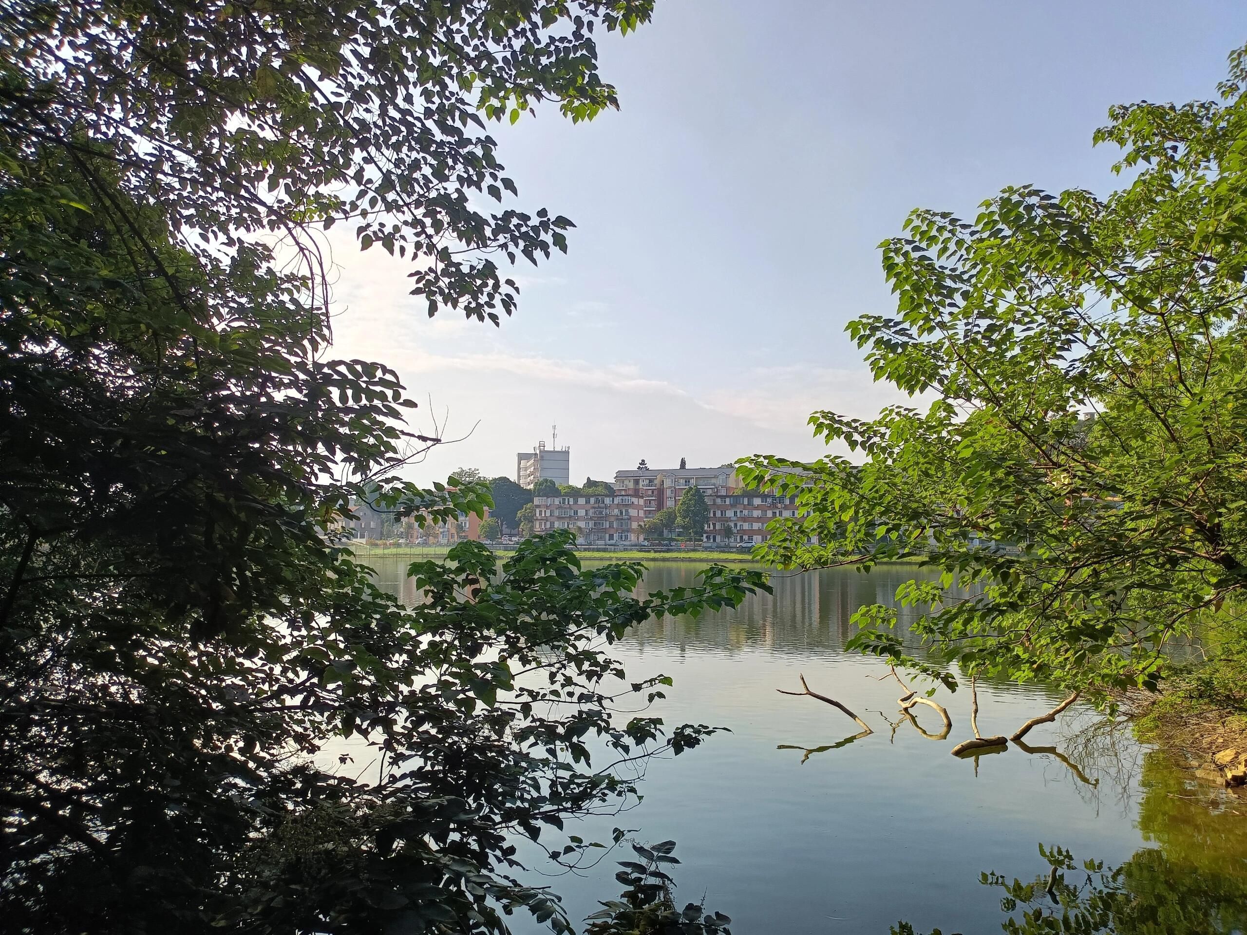 君武森林公园旅行图片 3