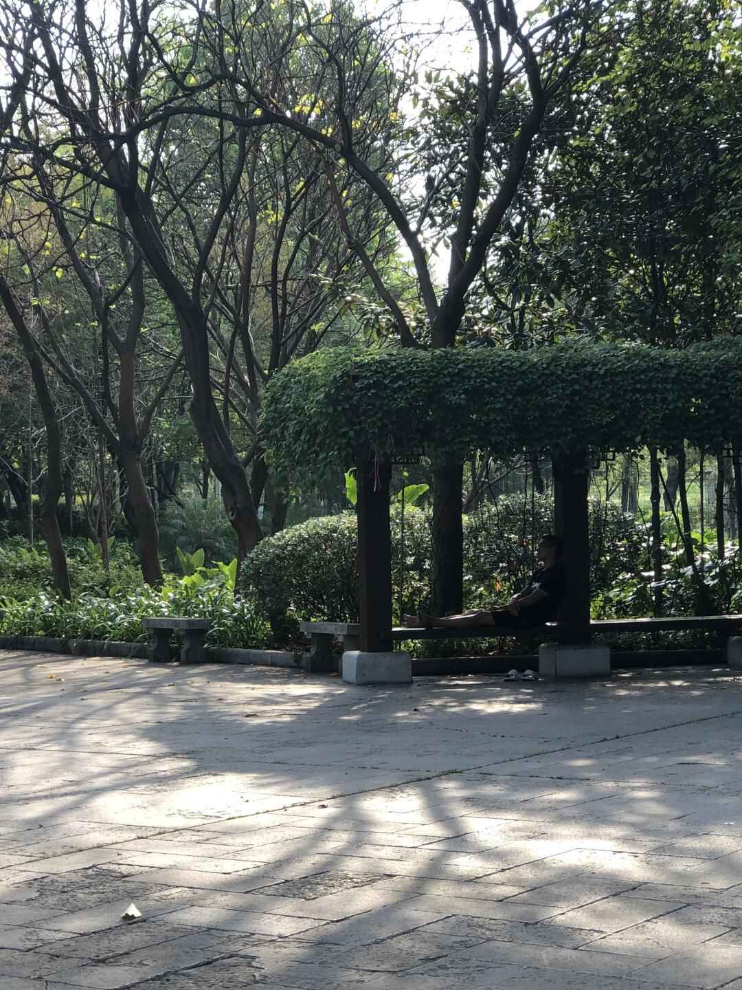 河西花卉公园旅行图片 2