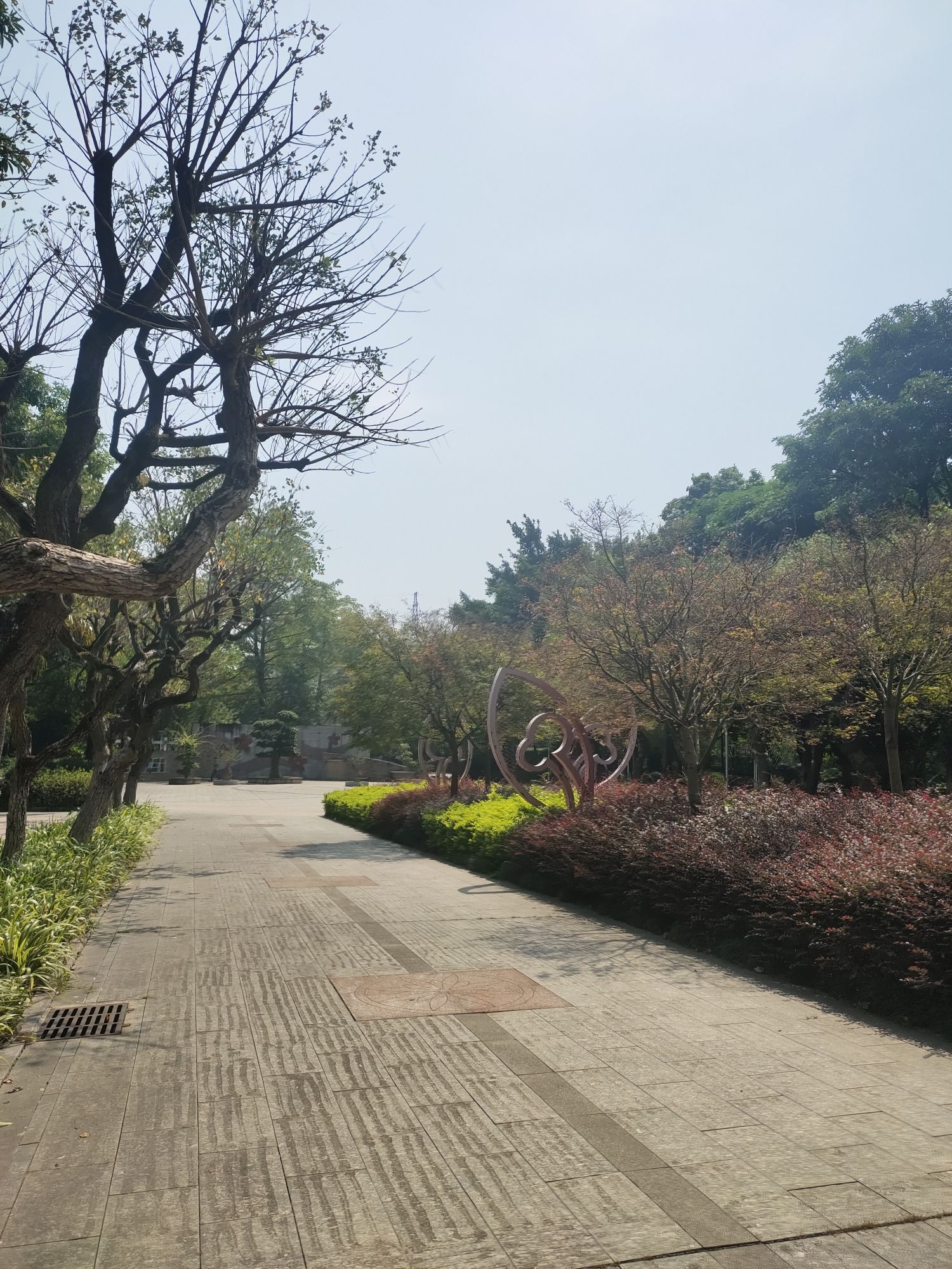 河西花卉公园旅行图片 3