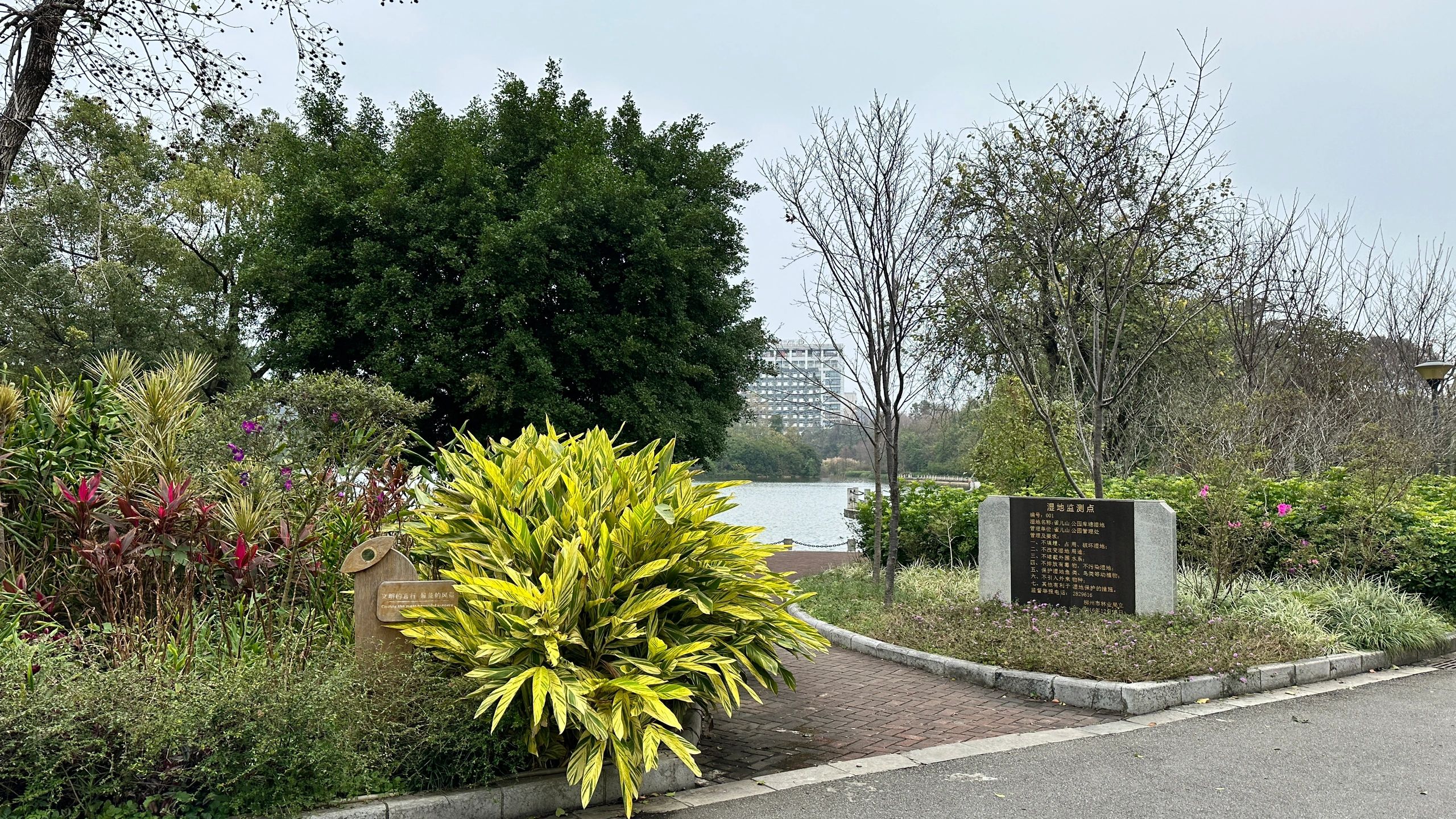雀儿山公园旅行图片 2