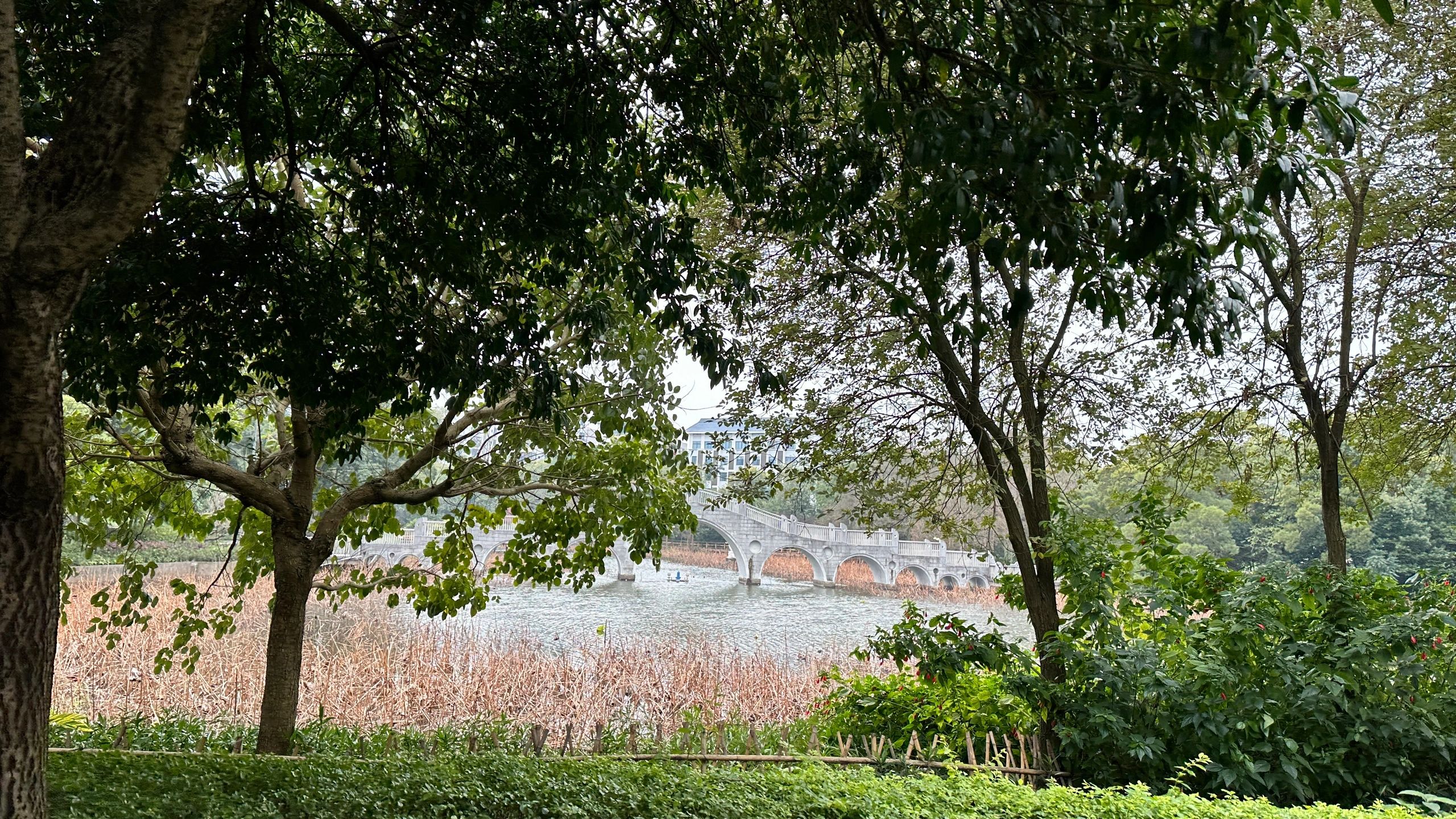 雀儿山公园旅行图片 3