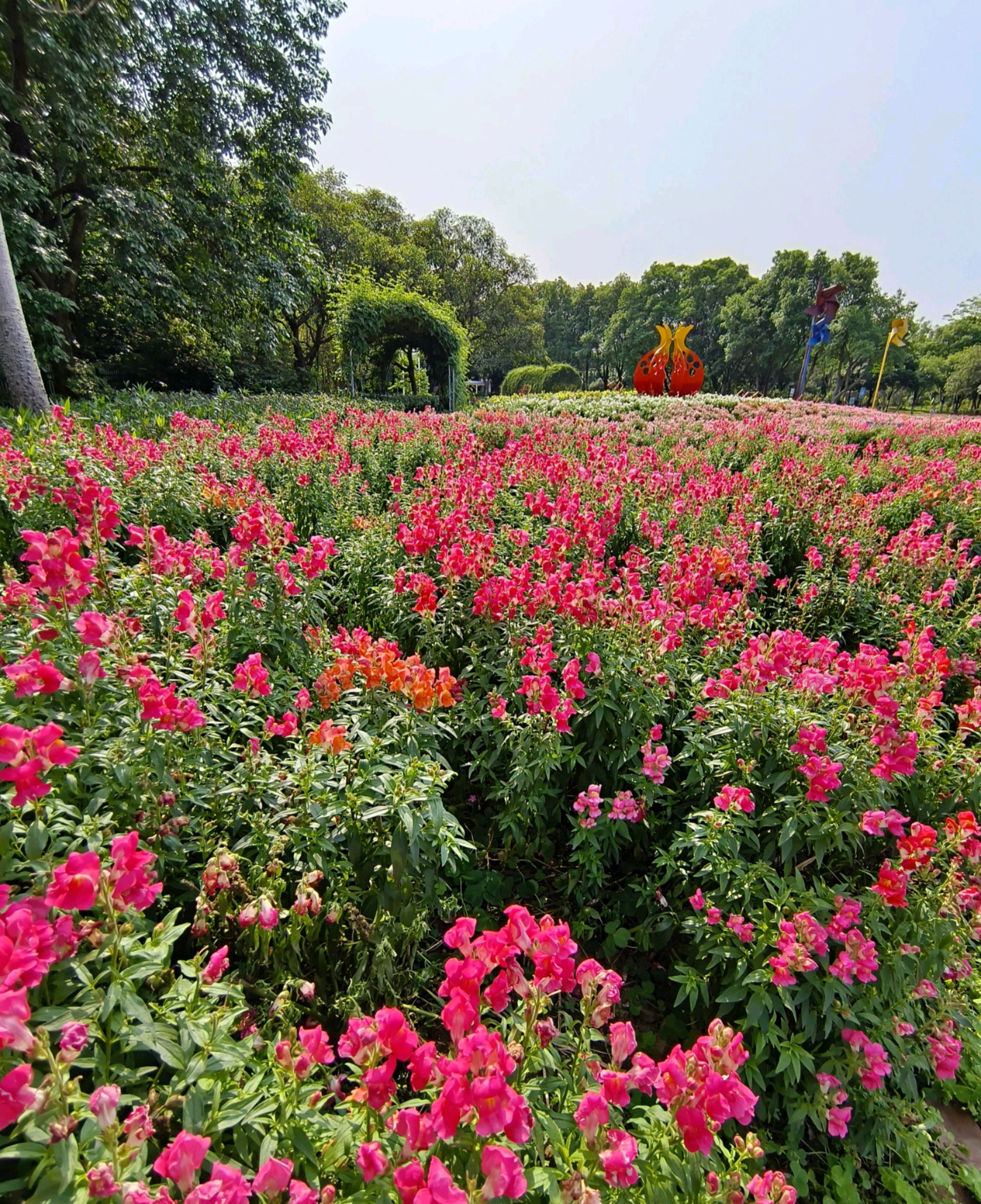 雀儿山公园旅行图片 1