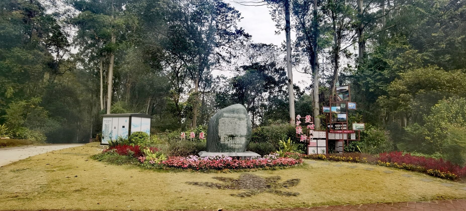 三门江国家森林公园旅行图片 2