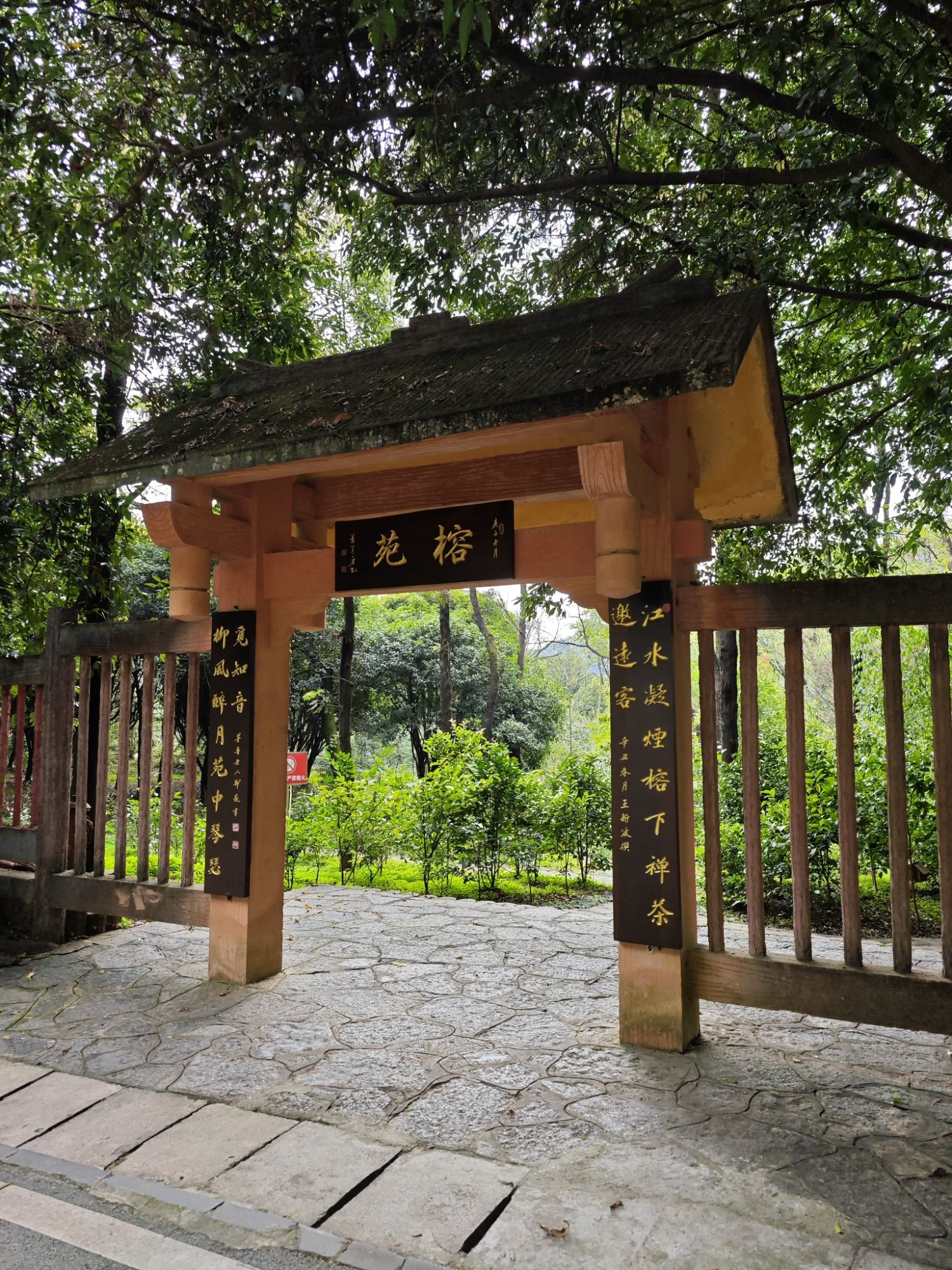 三门江国家森林公园旅行图片 2