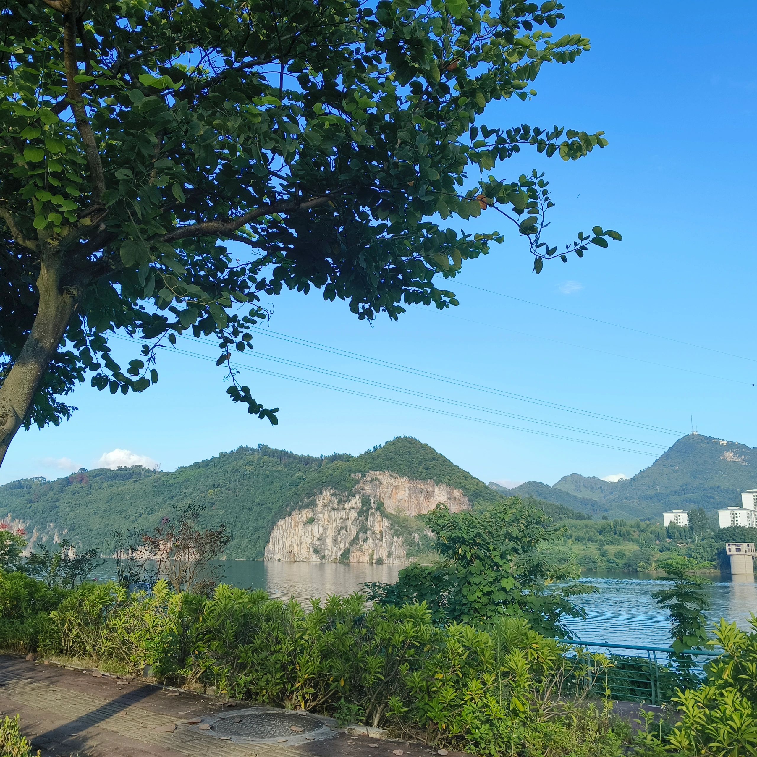 三门江国家森林公园旅行图片 2
