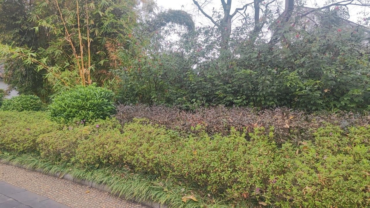 柳侯公园旅行图片 1