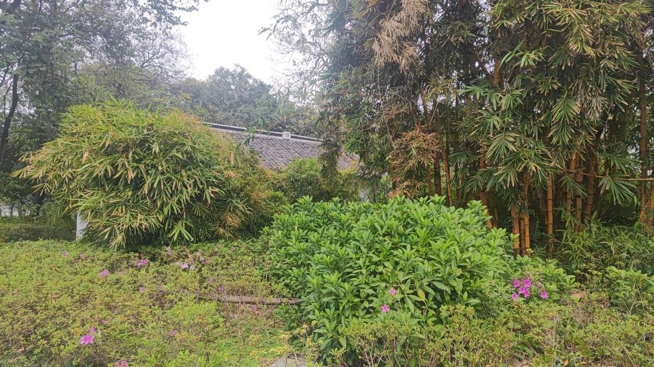 柳侯公园旅行图片 3