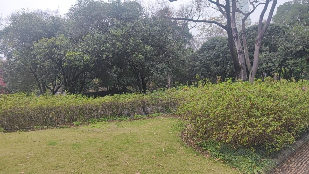 柳侯公园旅行图片 2