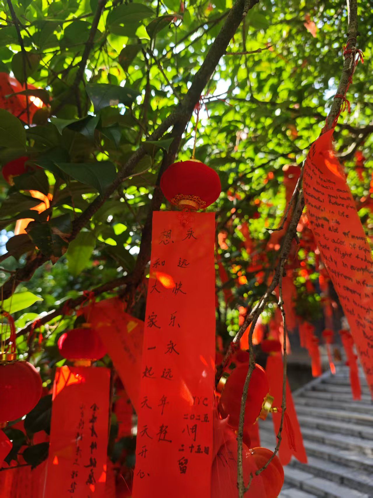 柳侯公园旅行图片 2