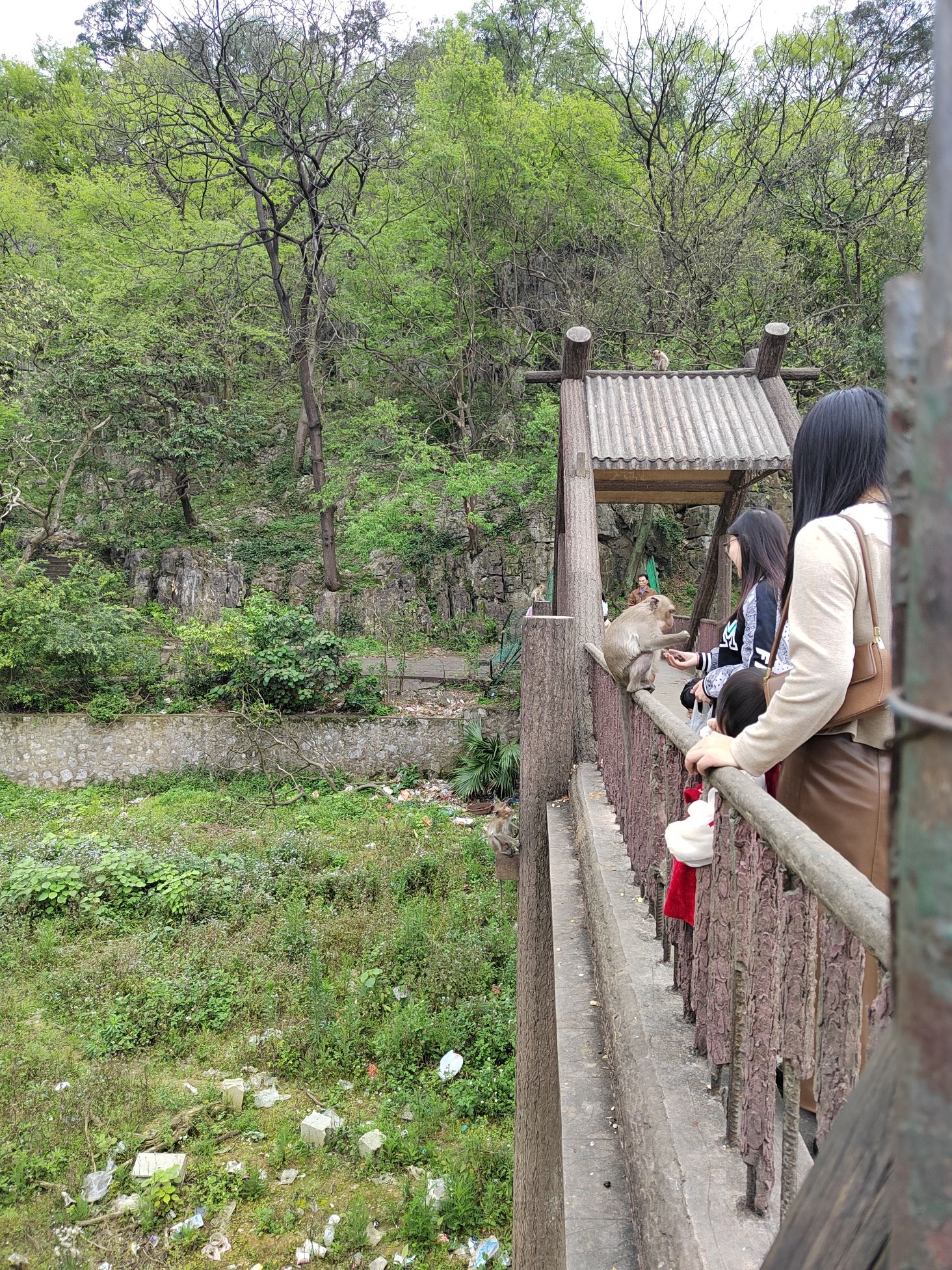 碧芙蓉景区旅行图片 1