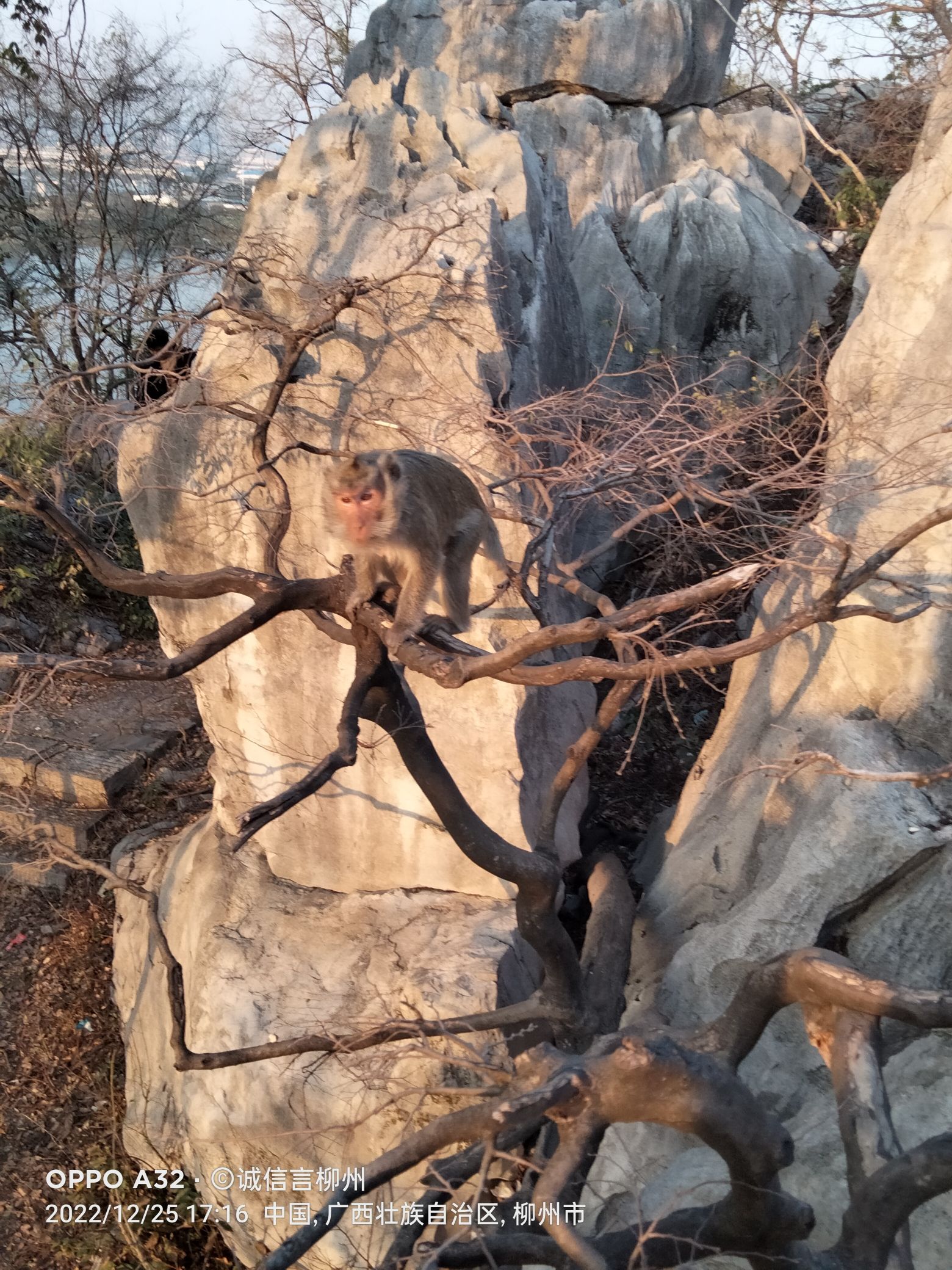 碧芙蓉景区旅行图片 2