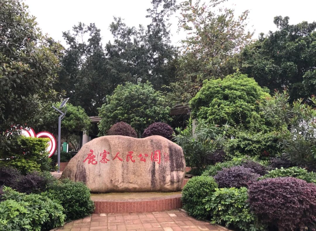 鹿寨人民公园旅行图片 1