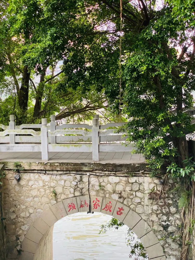江滨公园旅行图片 3