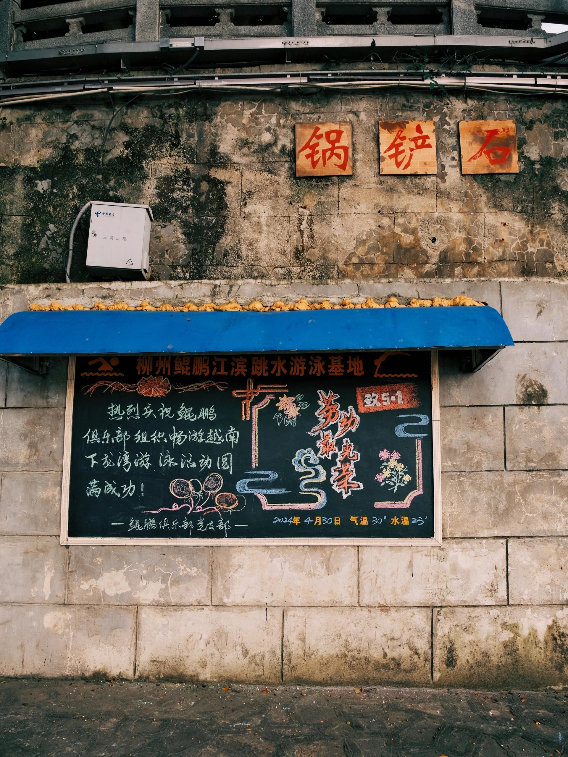 江滨公园旅行图片 3