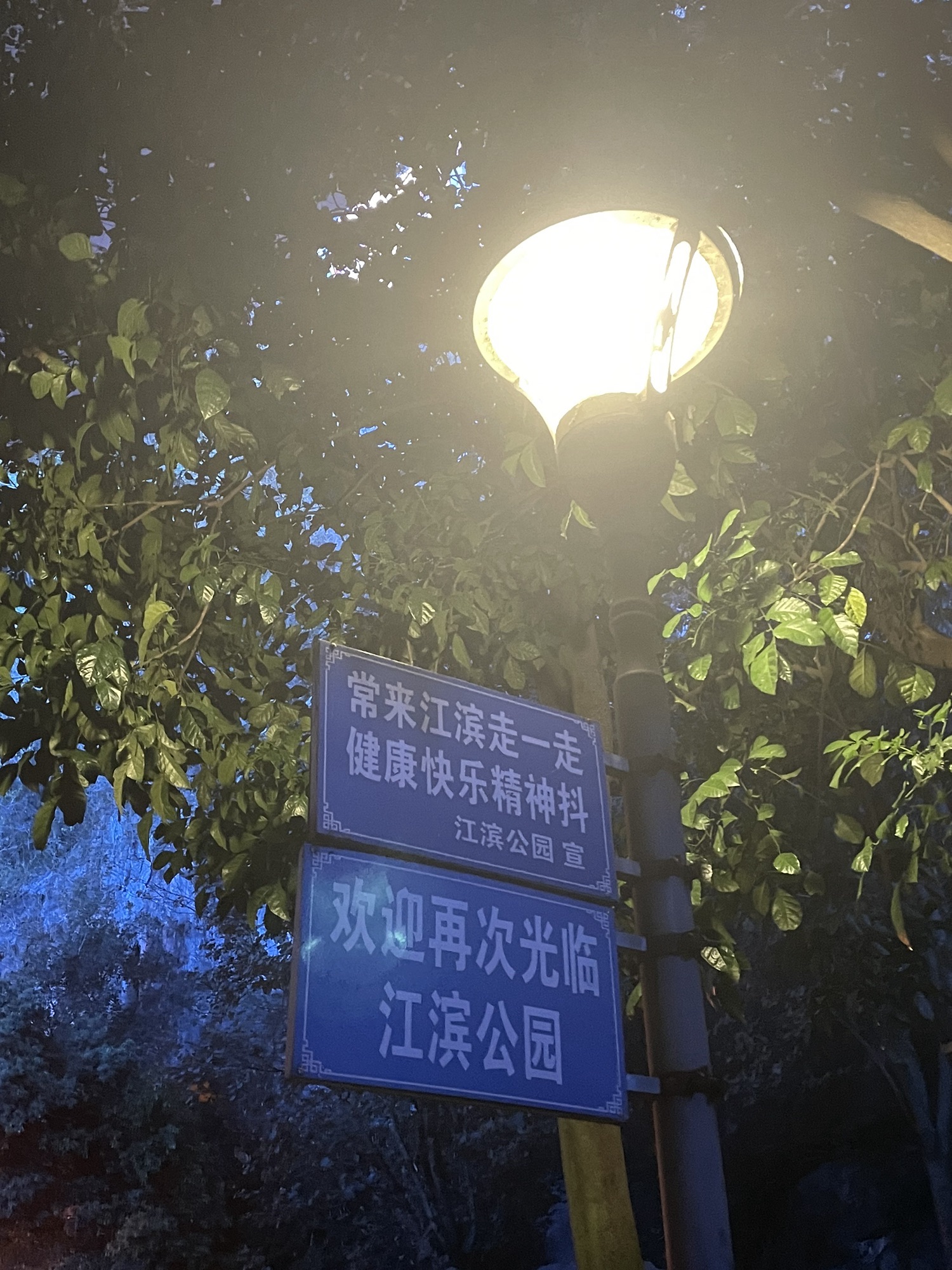 蟠龙山公园旅行图片 3