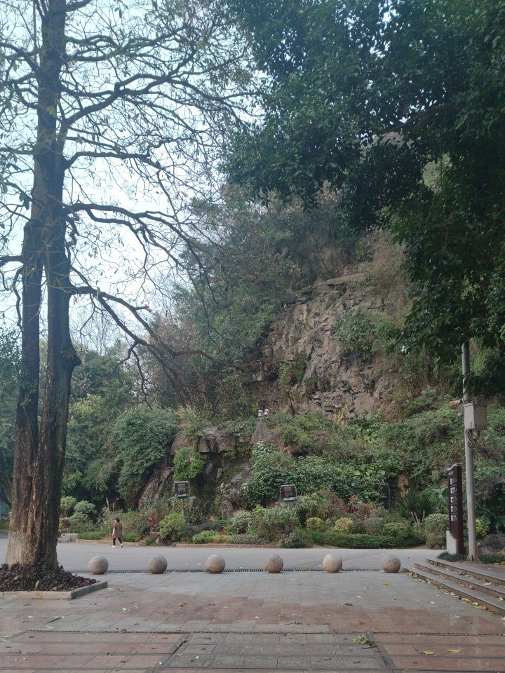 蟠龙山公园旅行图片 1