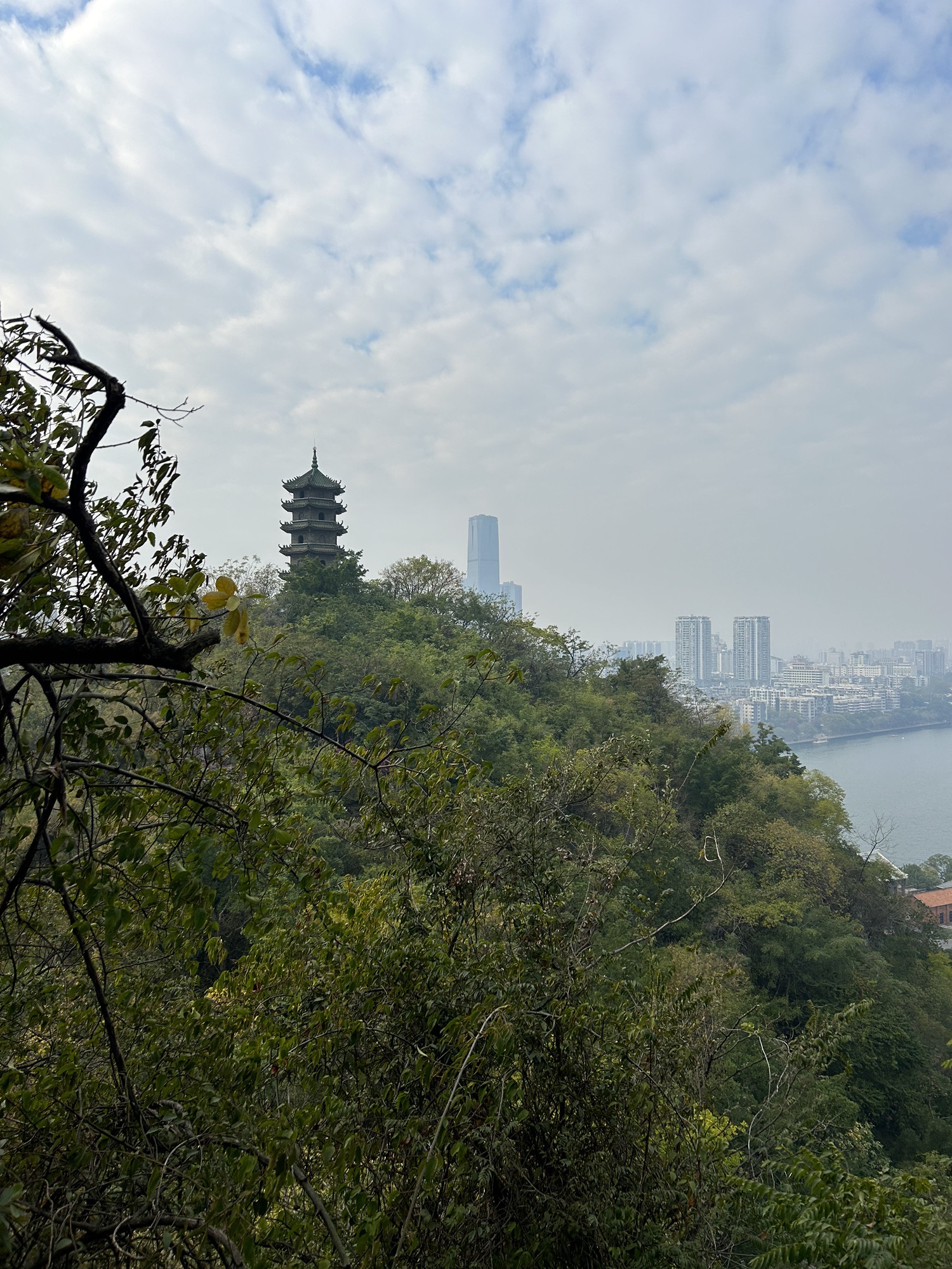 蟠龙山公园旅行图片 1