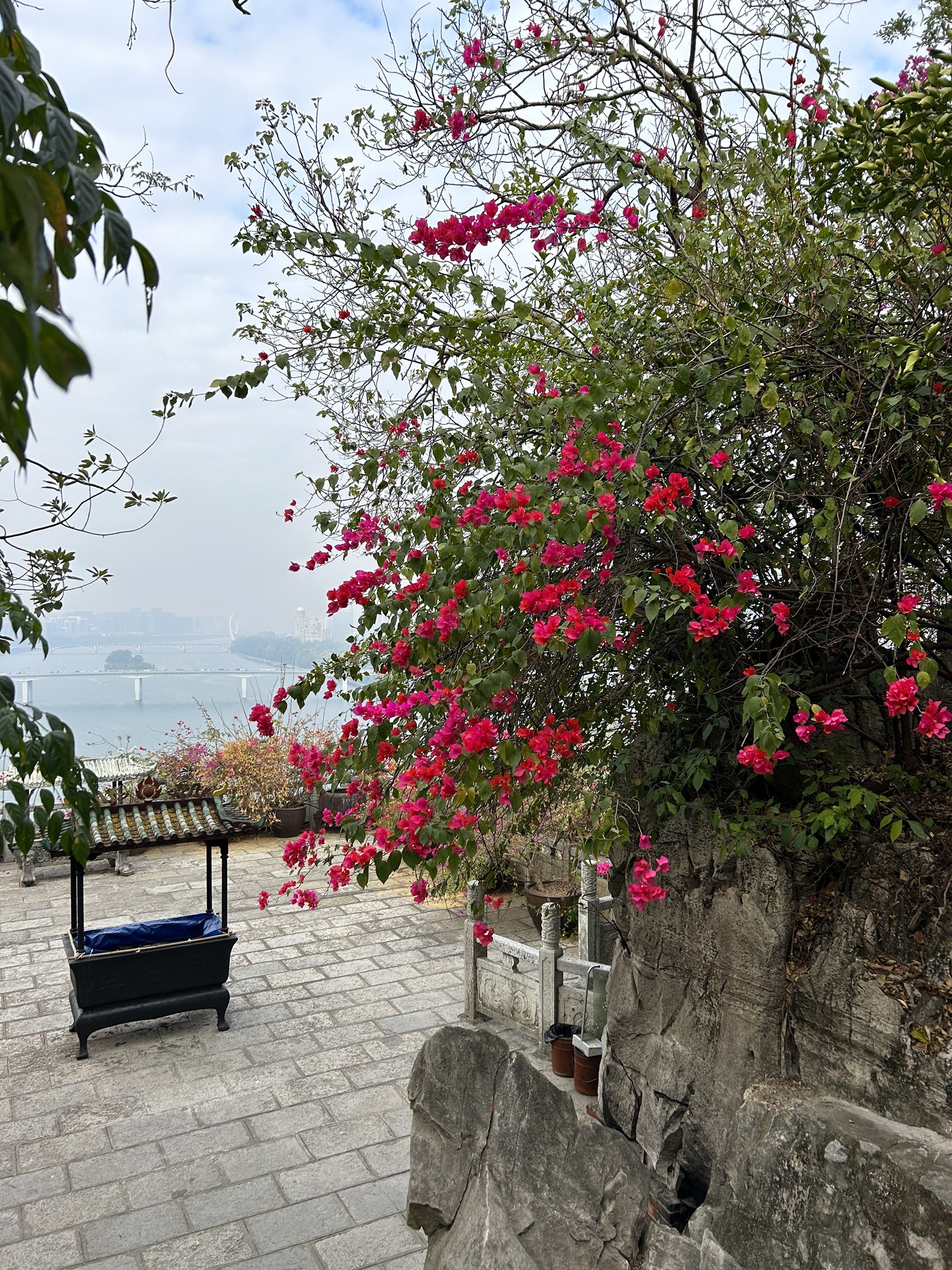 蟠龙山公园旅行图片 3