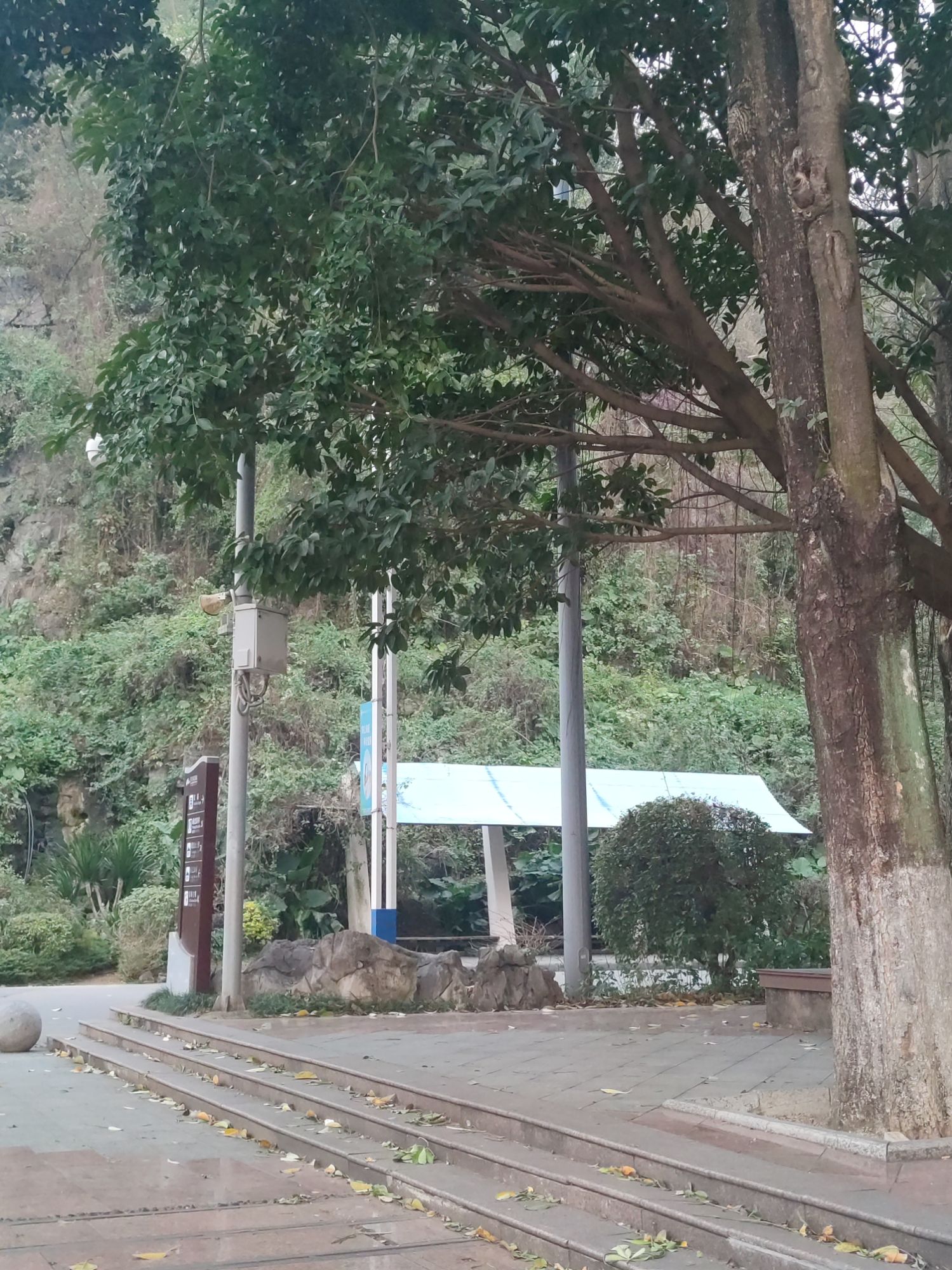 蟠龙山公园旅行图片 3