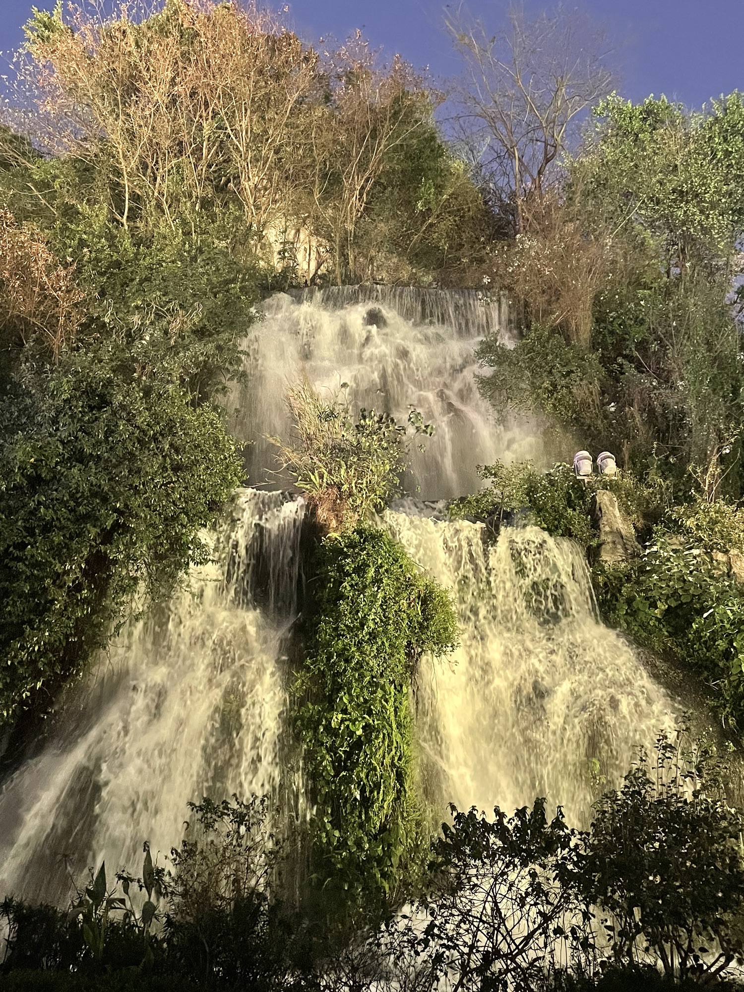 蟠龙山公园旅行图片 1