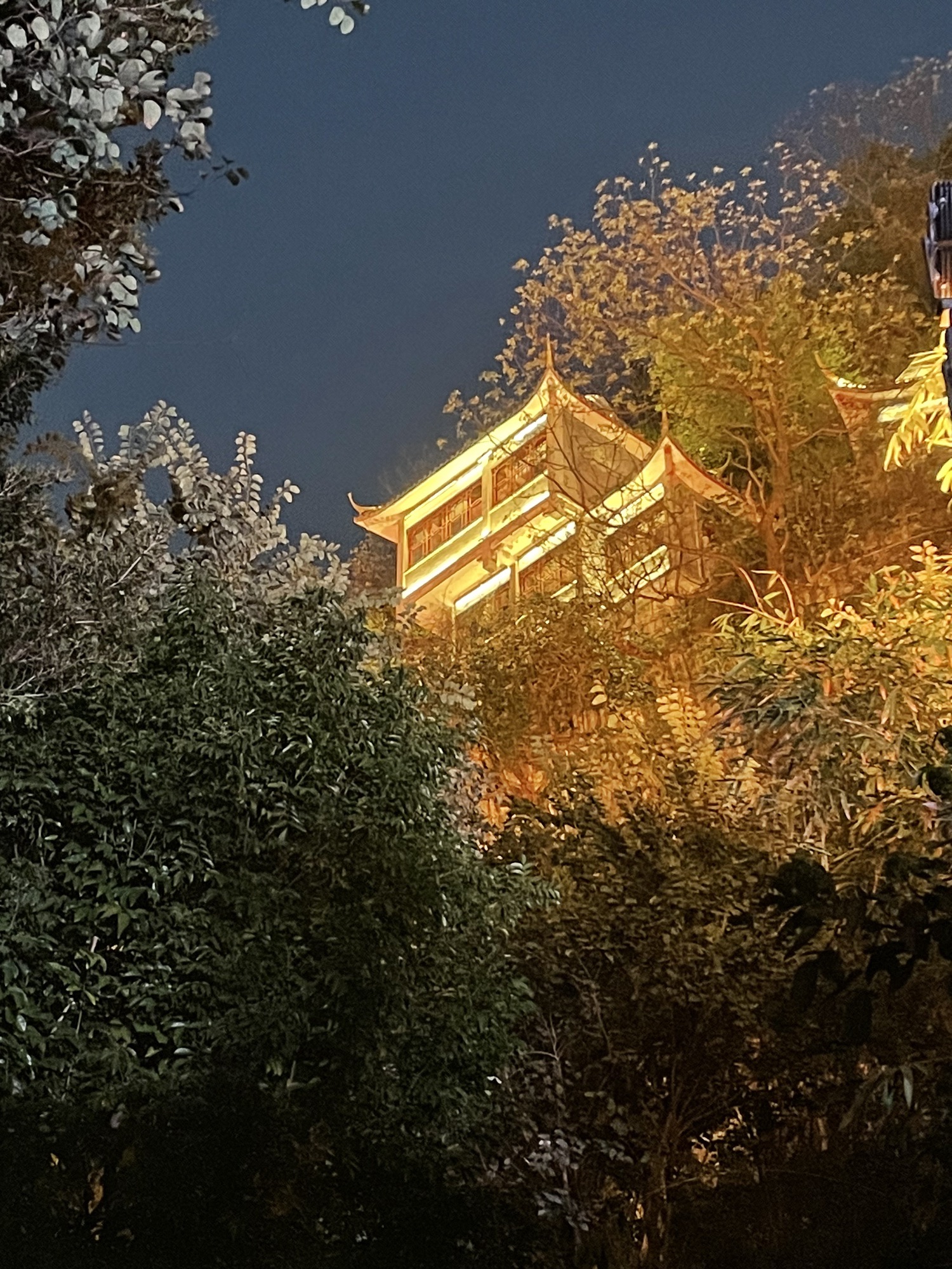 蟠龙山公园旅行图片 2