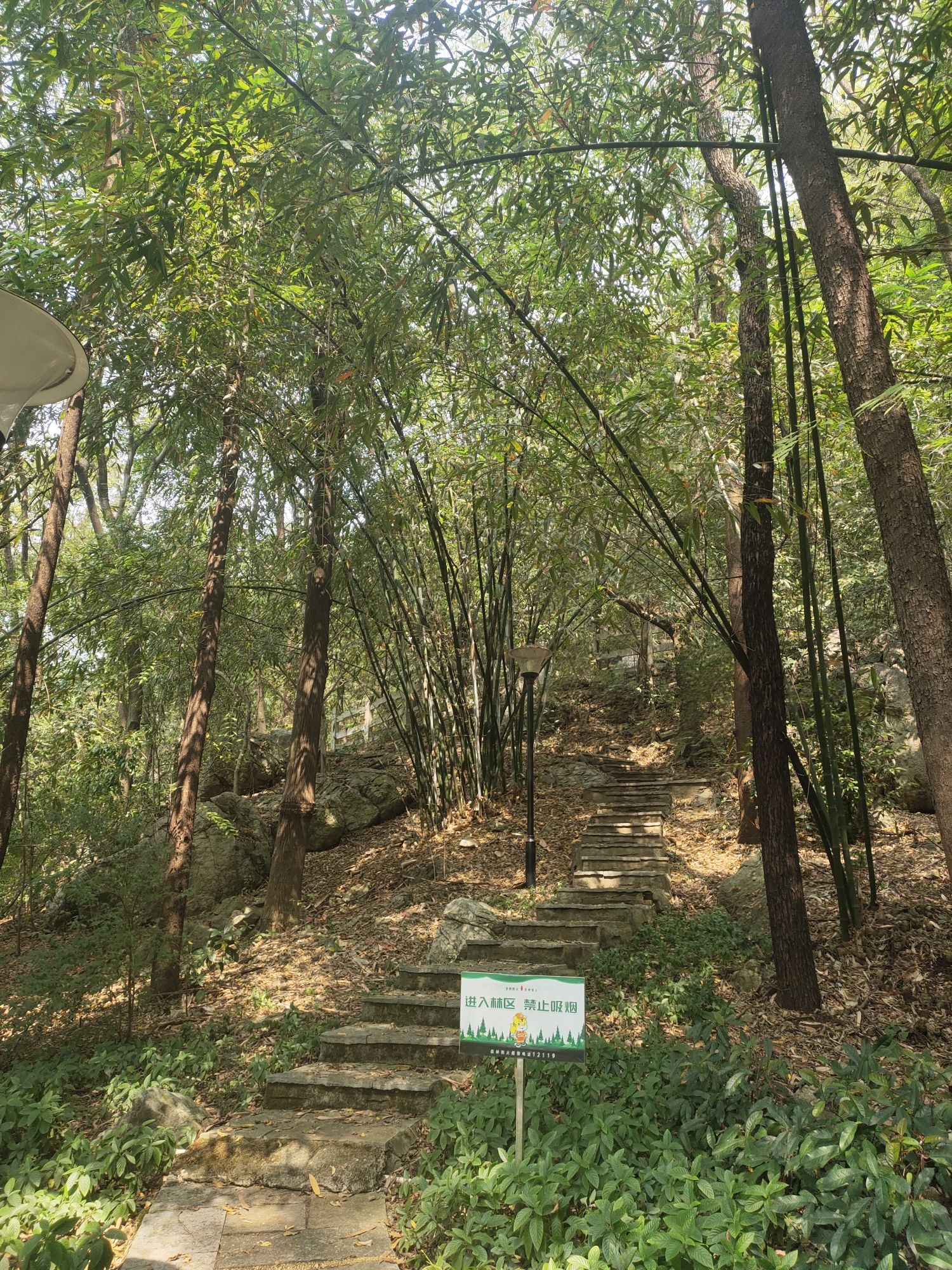 蜡烛山公园旅行图片 1