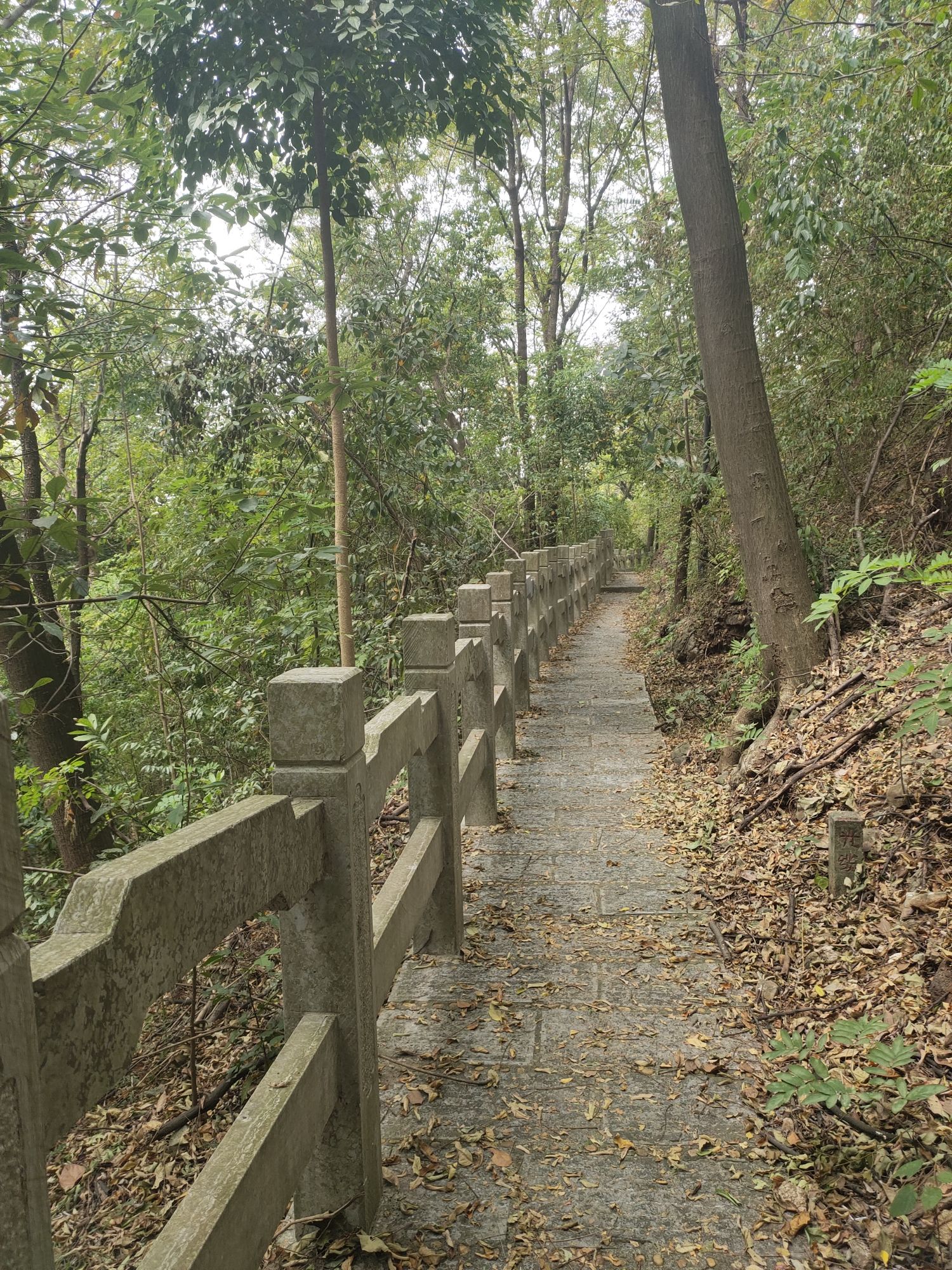 蜡烛山公园旅行图片 2
