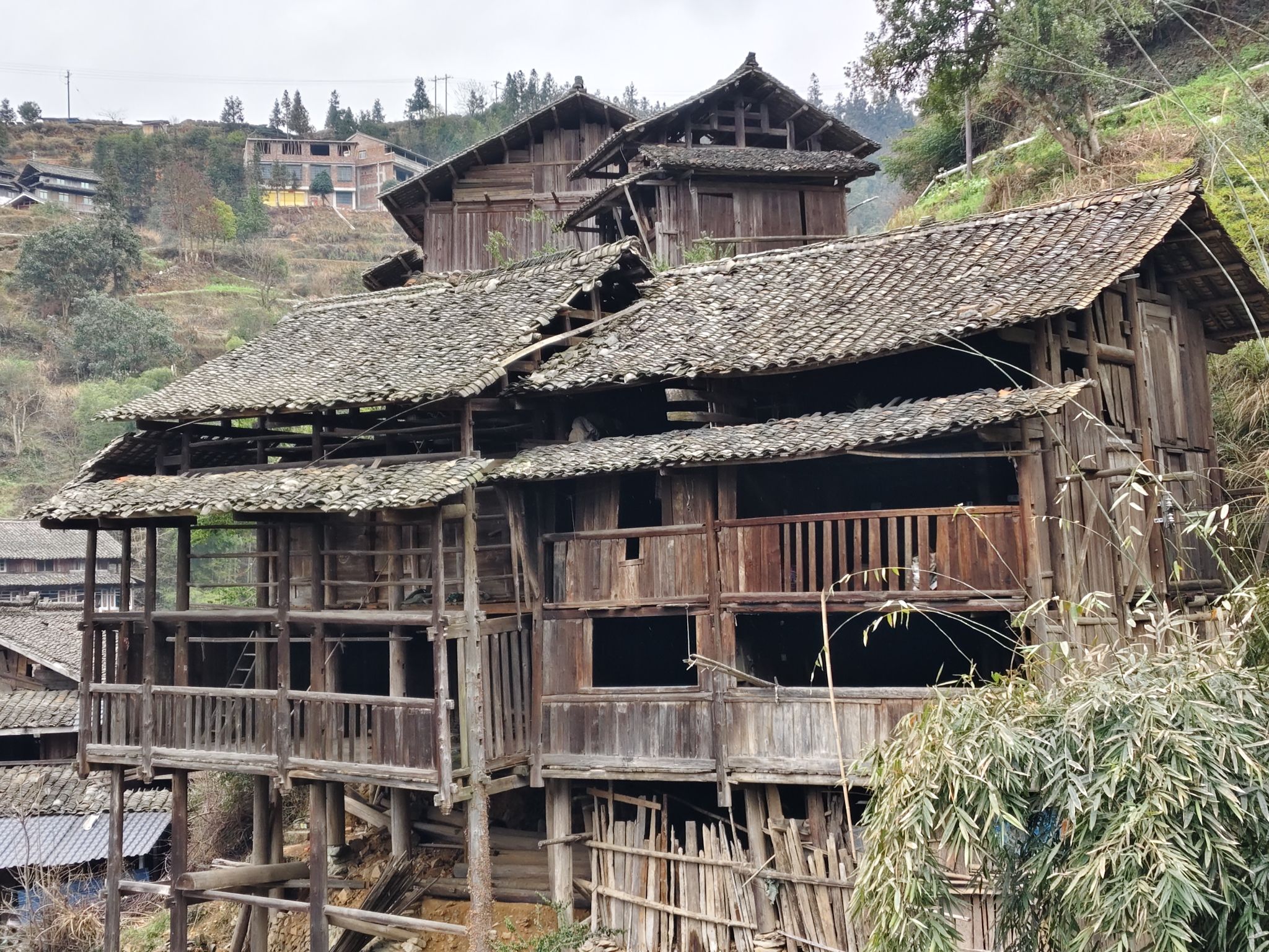 高定村旅行图片 2