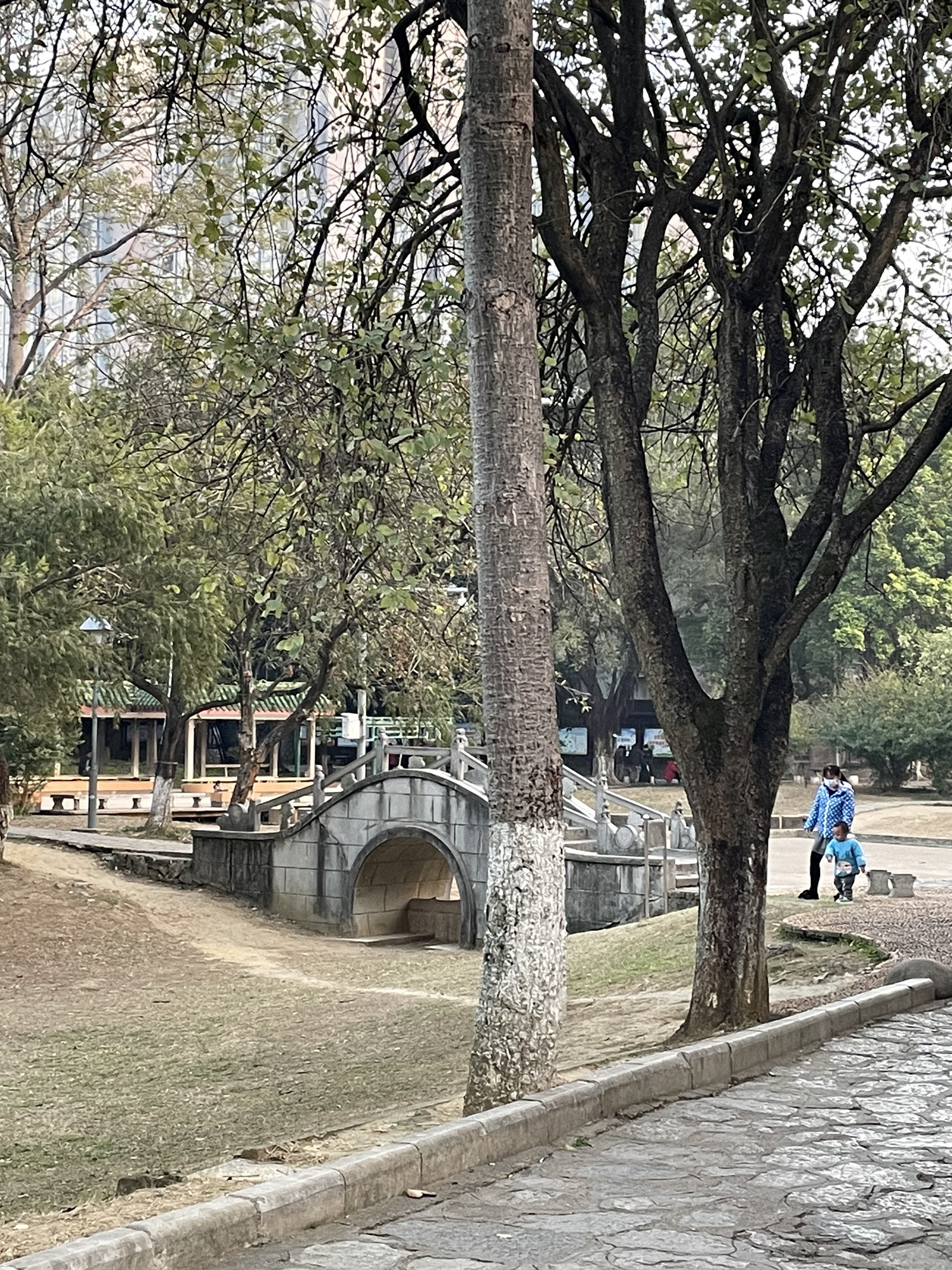 农贸小公园旅行图片 3