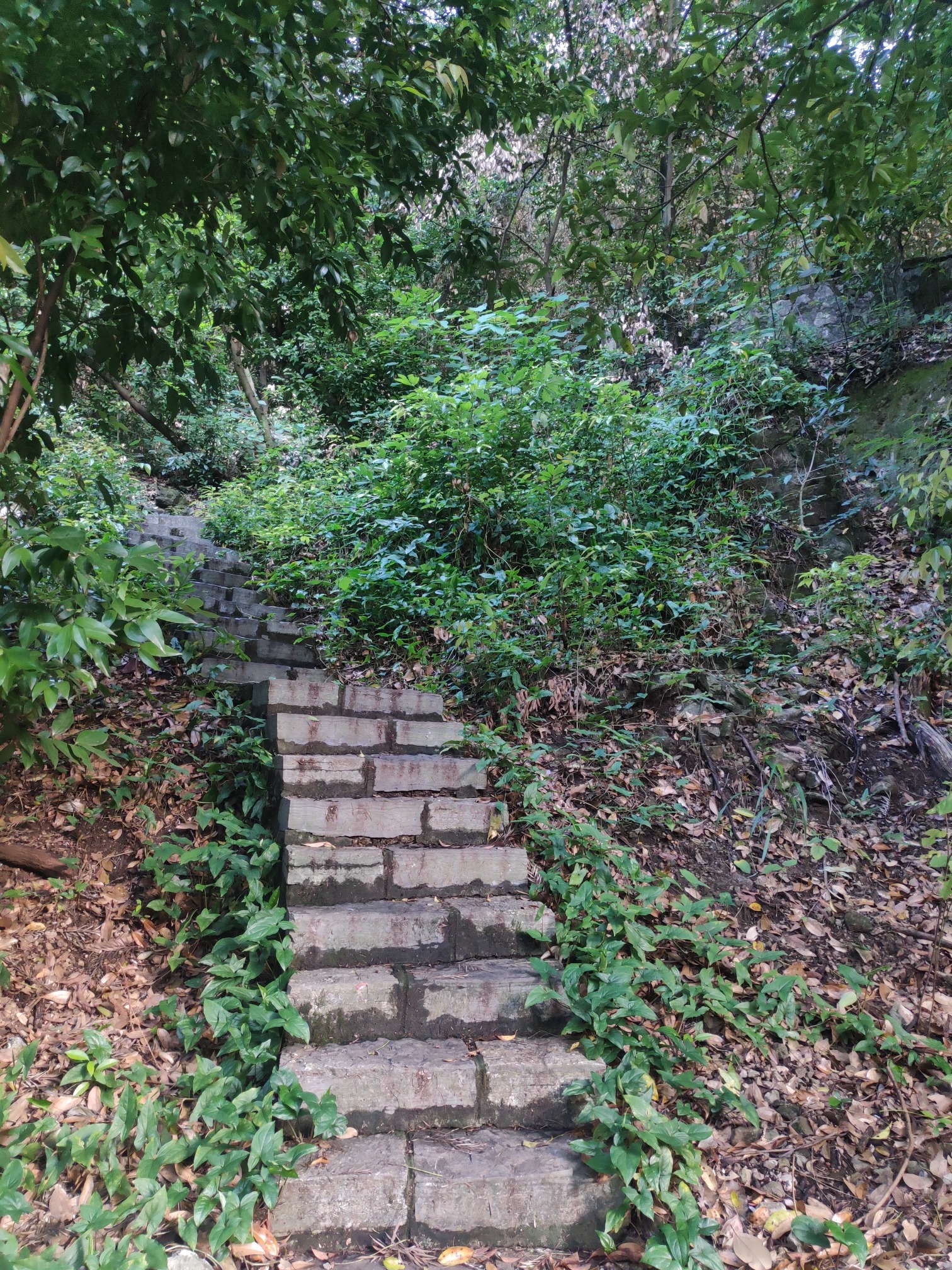 龙泉山旅行图片 3