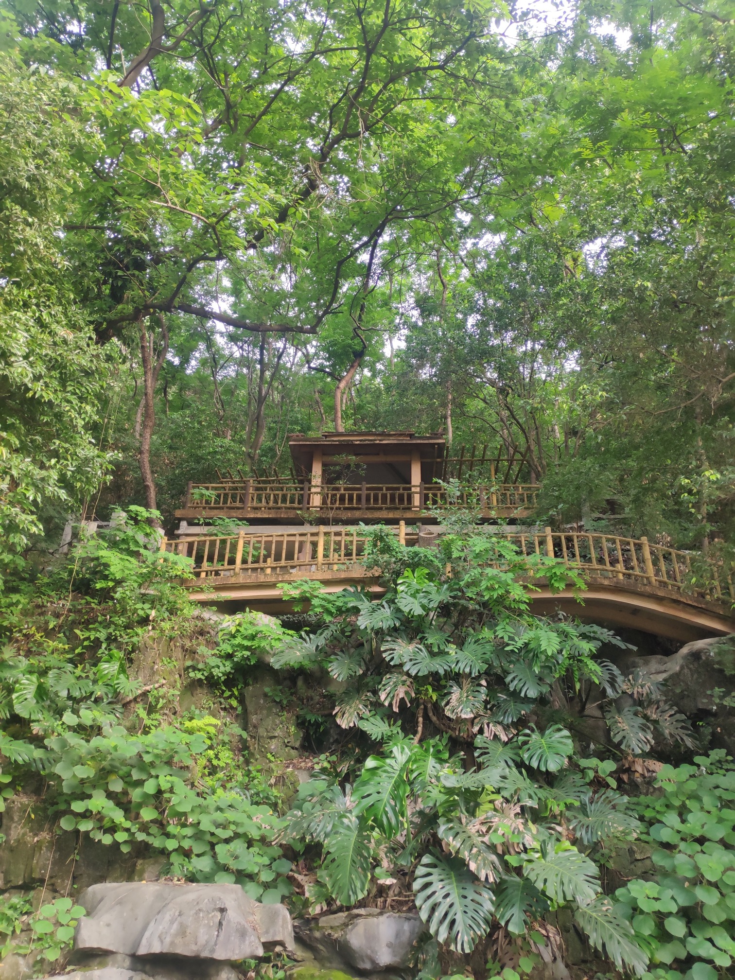 龙泉山旅行图片 2