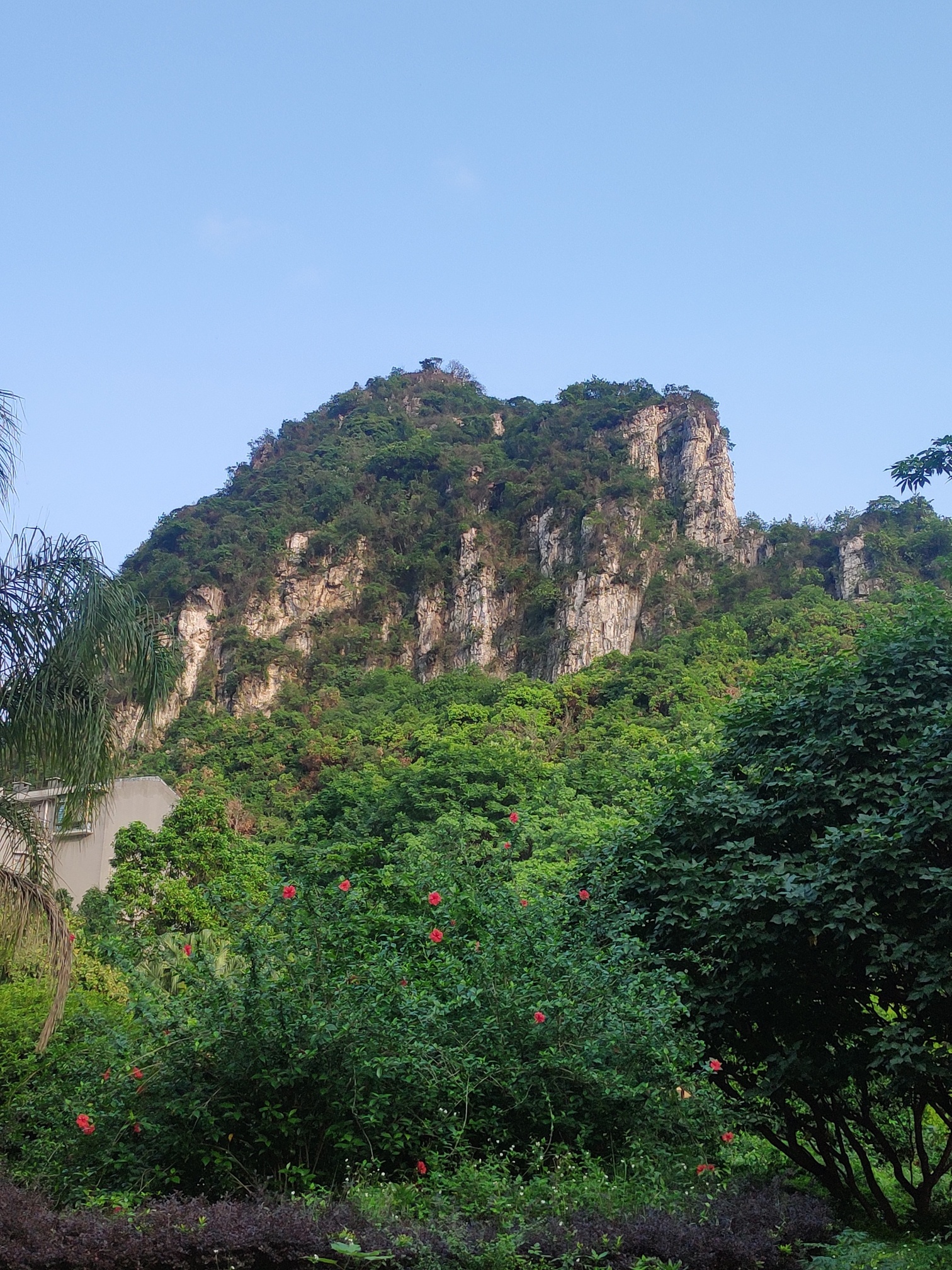 龙泉山旅行图片 1