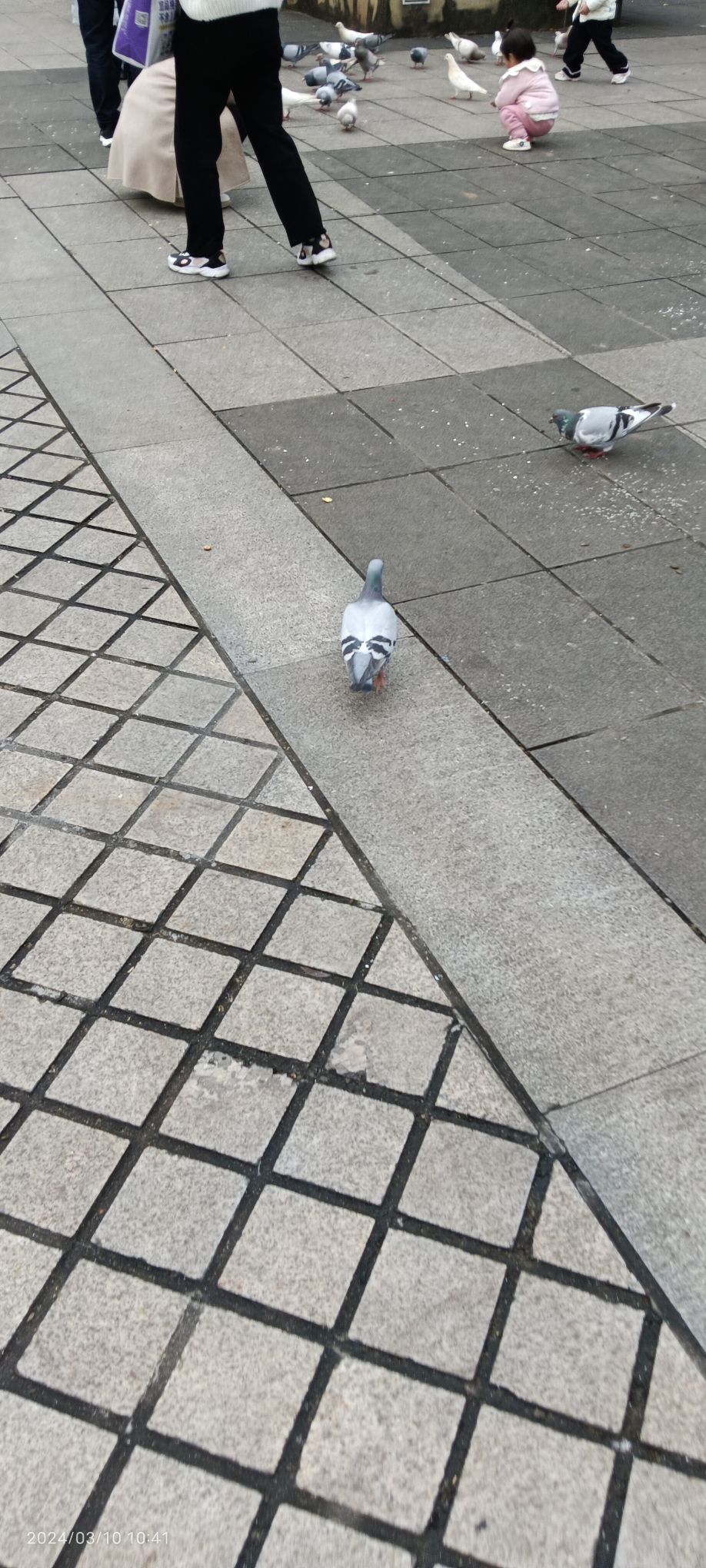 人民广场旅行图片 1
