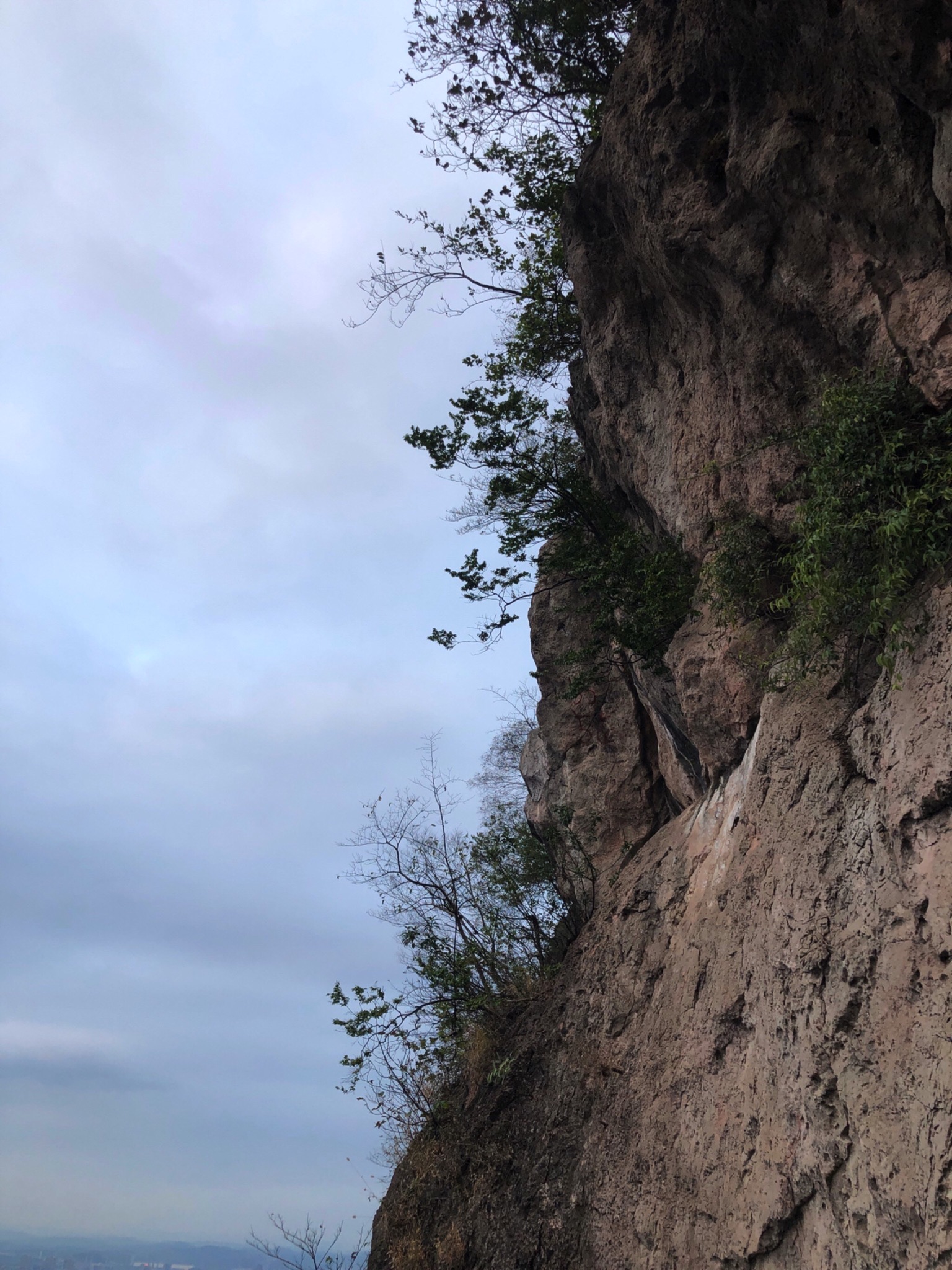 鹅山公园旅行图片 3